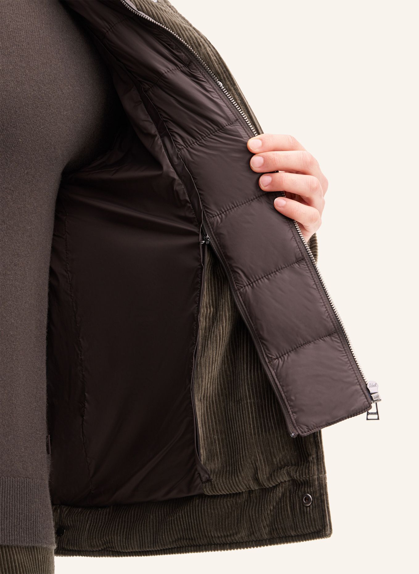 windsor. Jacke: GRÜN
