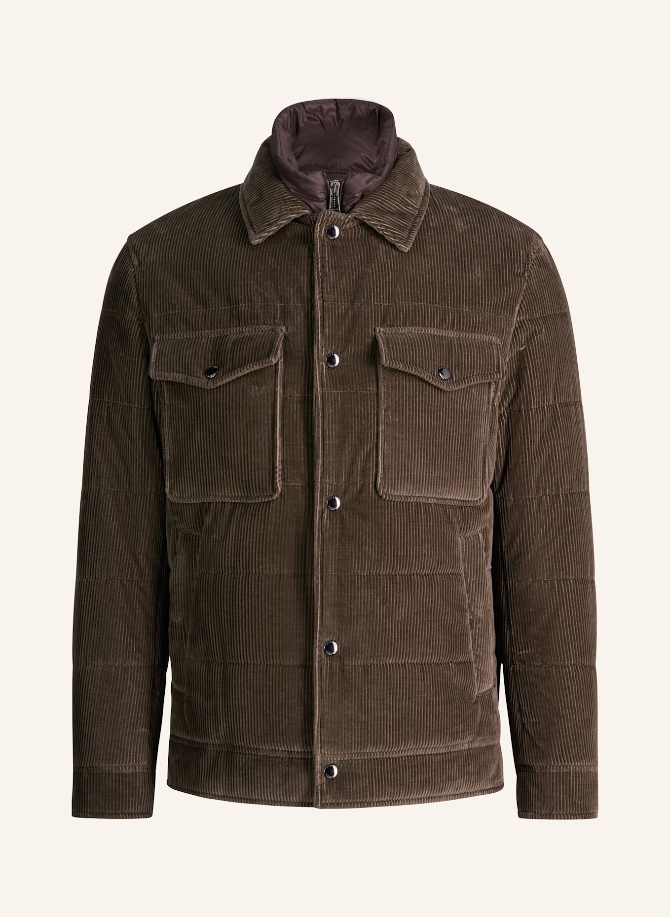 windsor. Jacke: GRÜN