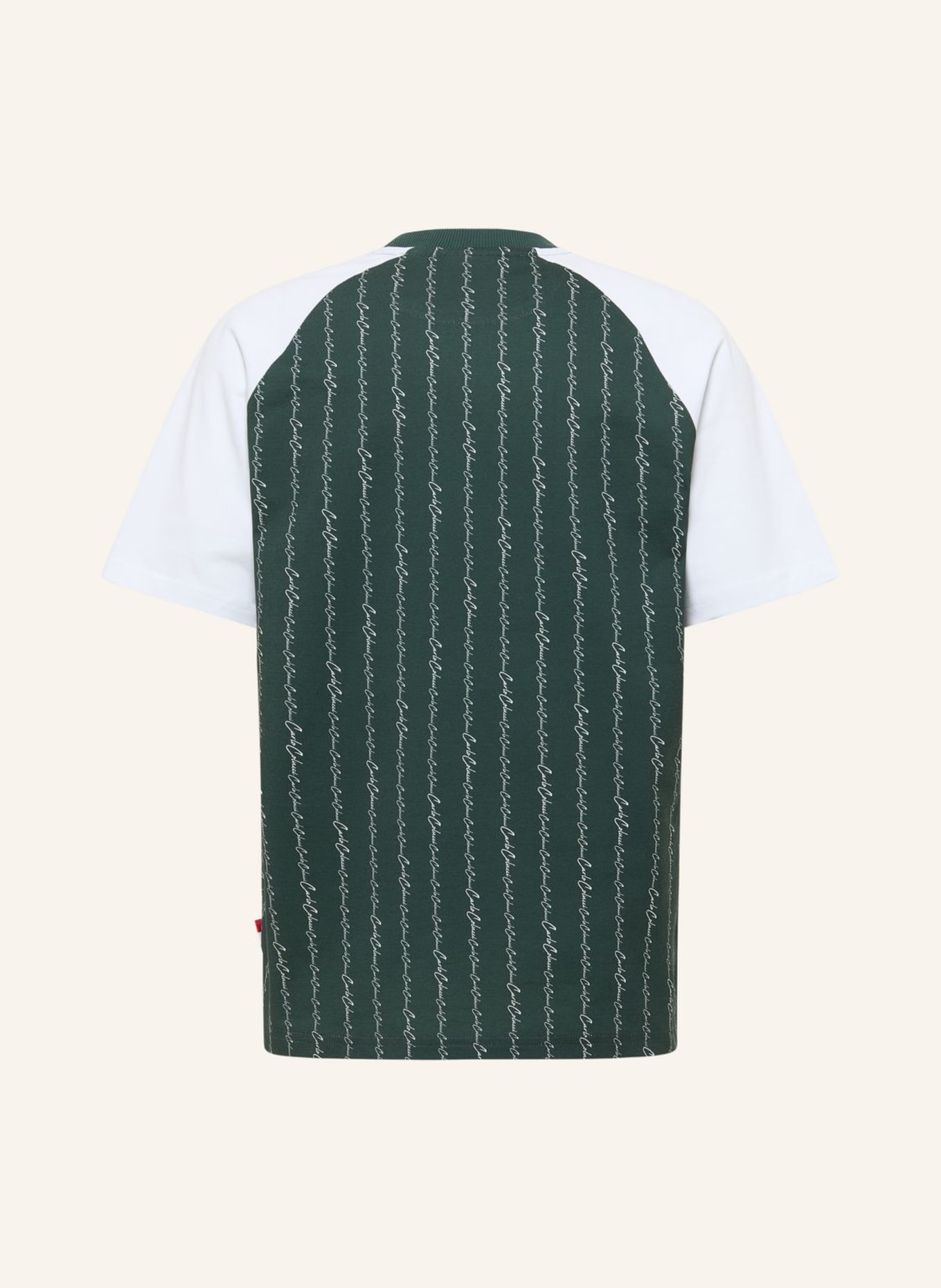 CARLO COLUCCI T-Shirt - MATCH POINT FARA: GRÜN/ WEISS