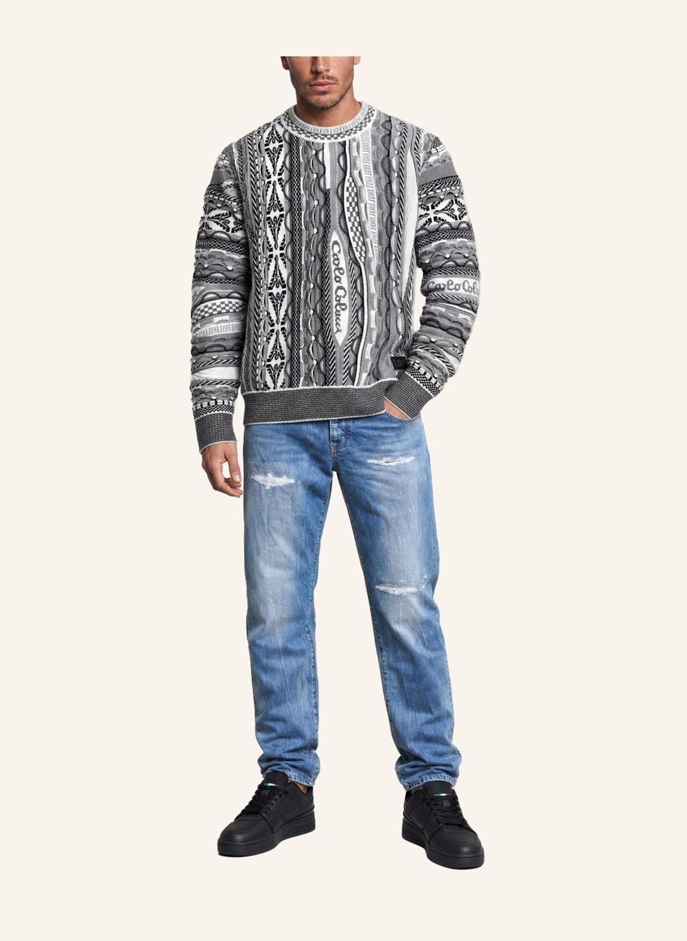 CARLO COLUCCI Strickpullover - 3D Knit FUSCALDO: SCHWARZ / GRAU