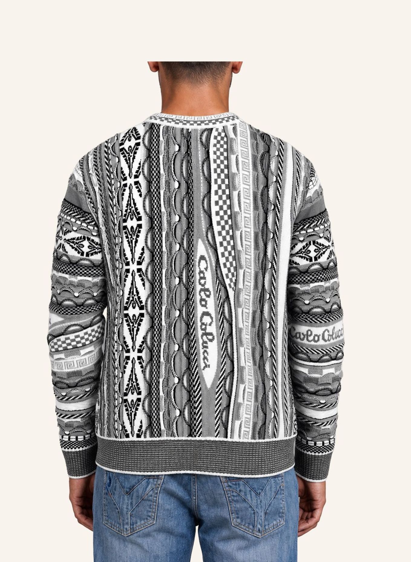 CARLO COLUCCI Strickpullover - 3D Knit FUSCALDO: SCHWARZ / GRAU
