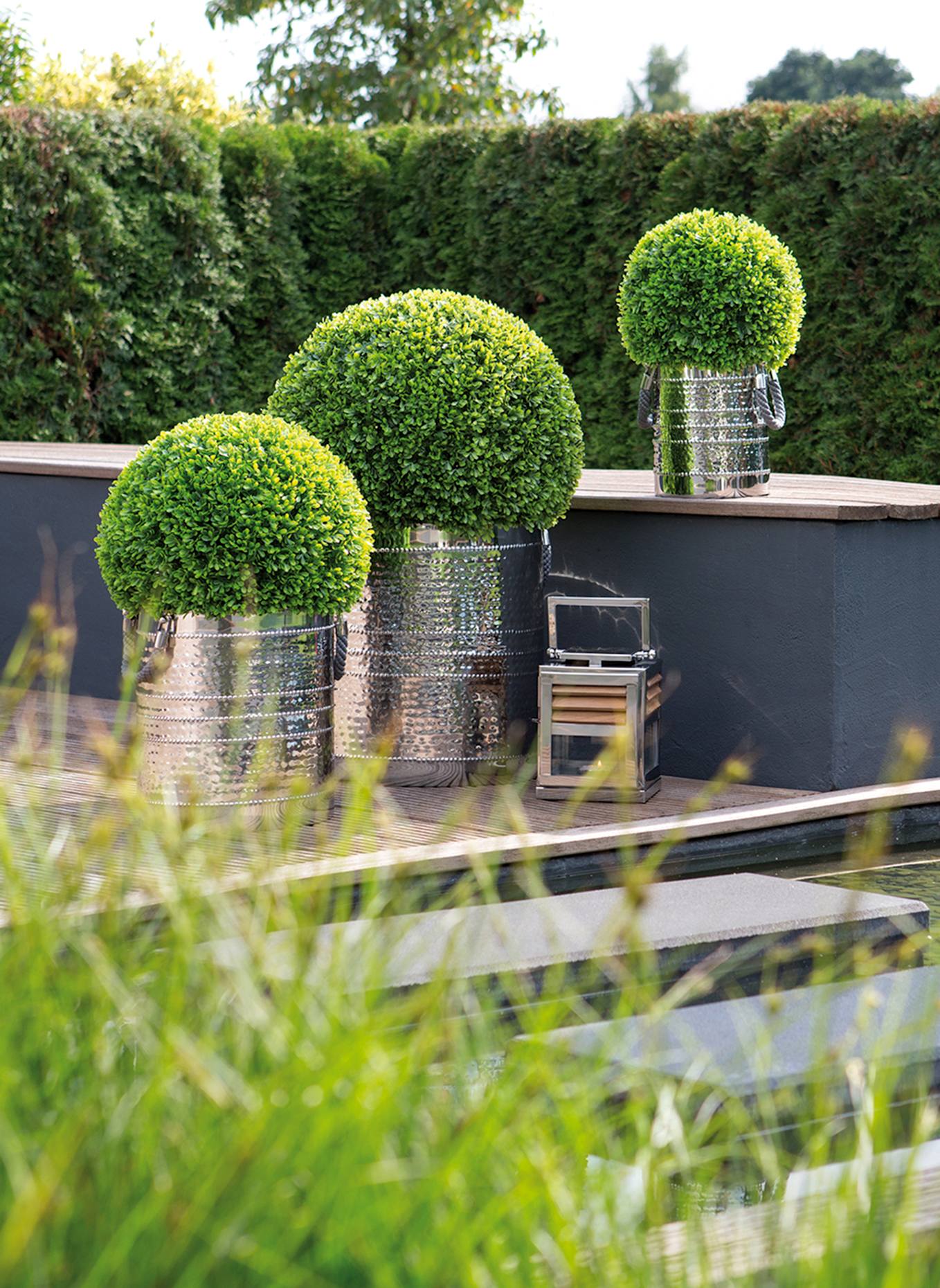 Fink Buchskugel BUXUS: GRÜN