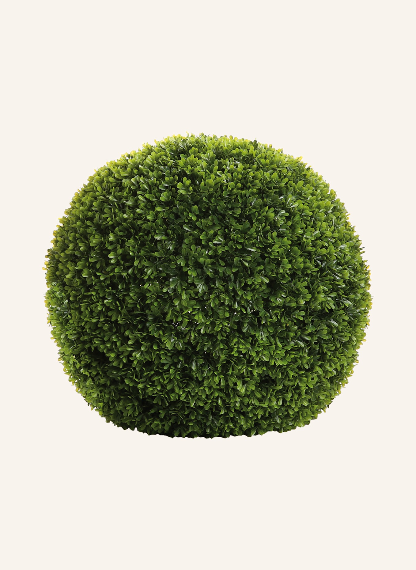Fink Buchskugel BUXUS: GRÜN