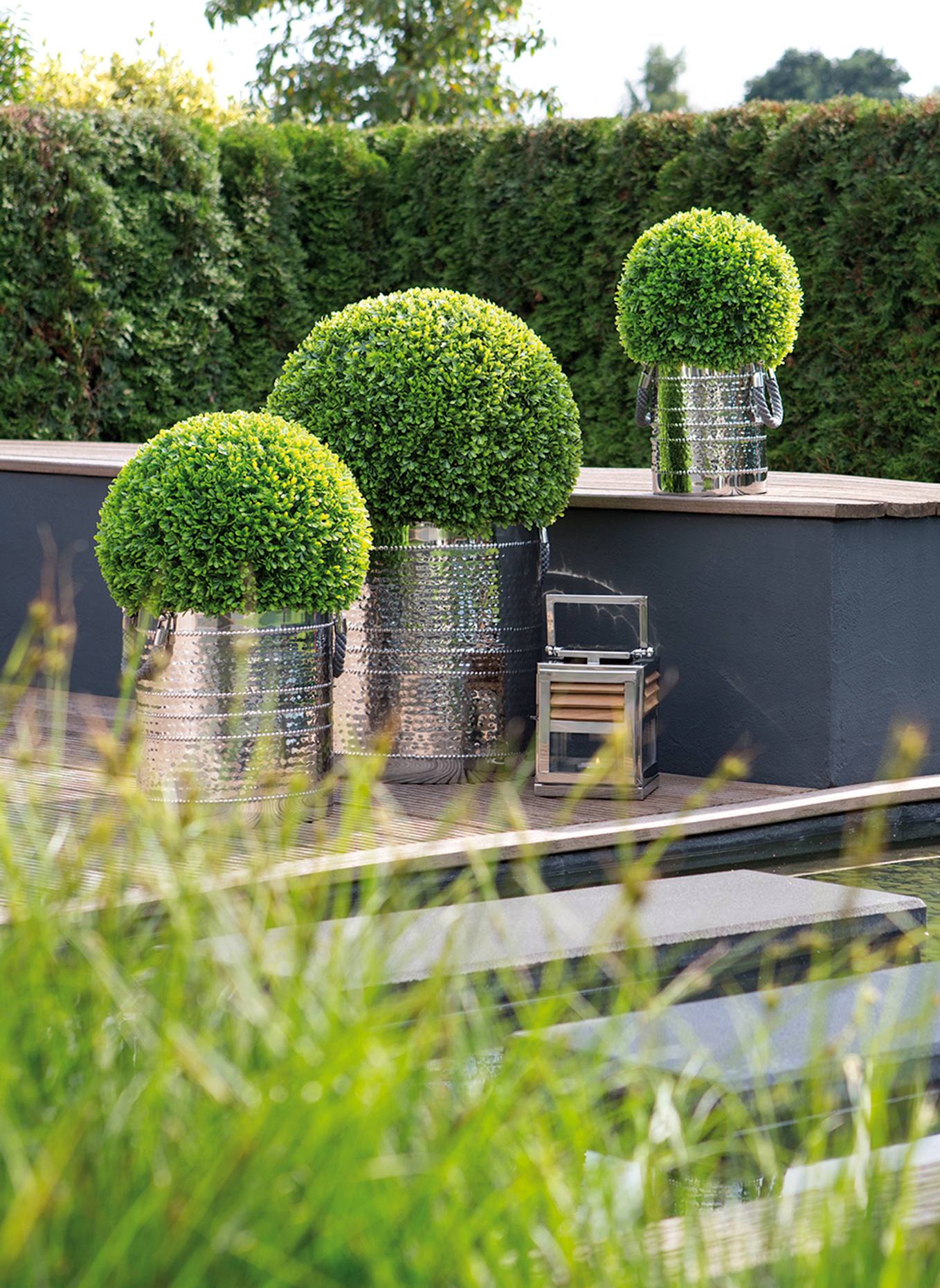 Fink Buchskugel BUXUS: GRÜN