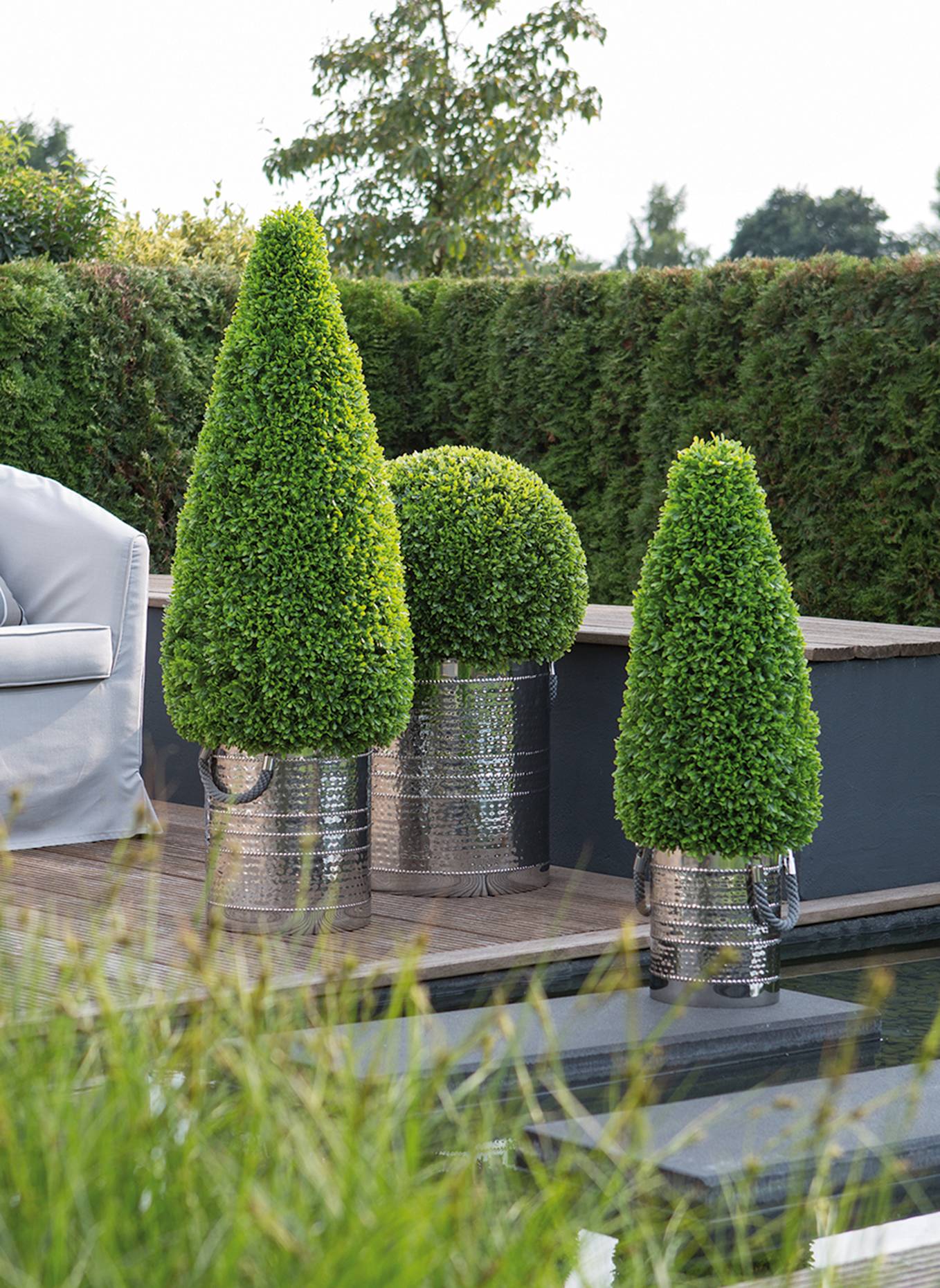 Fink Buchsbaum KEGEL: GRÜN