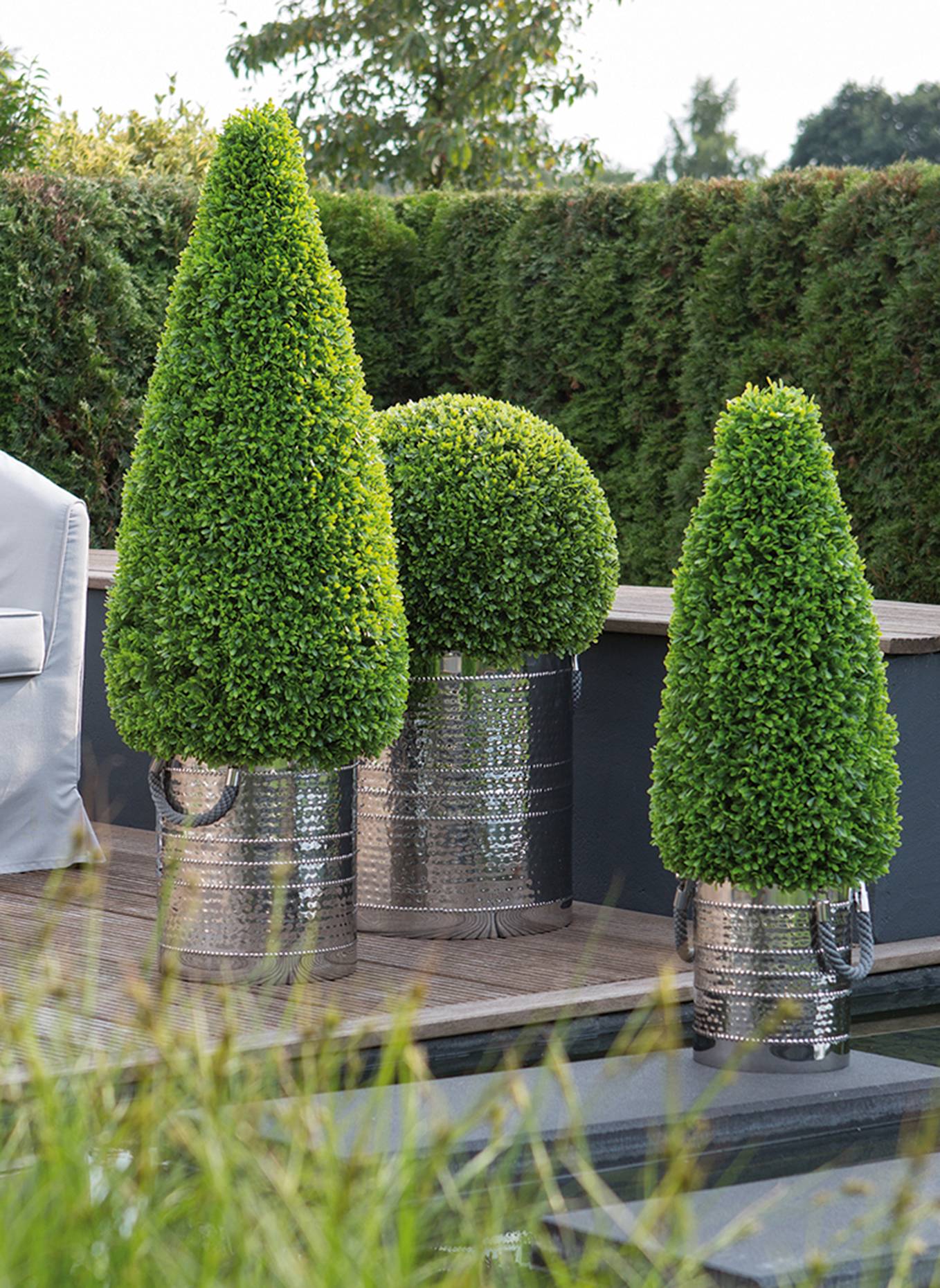 Fink Buchsbaum KEGEL: GRÜN