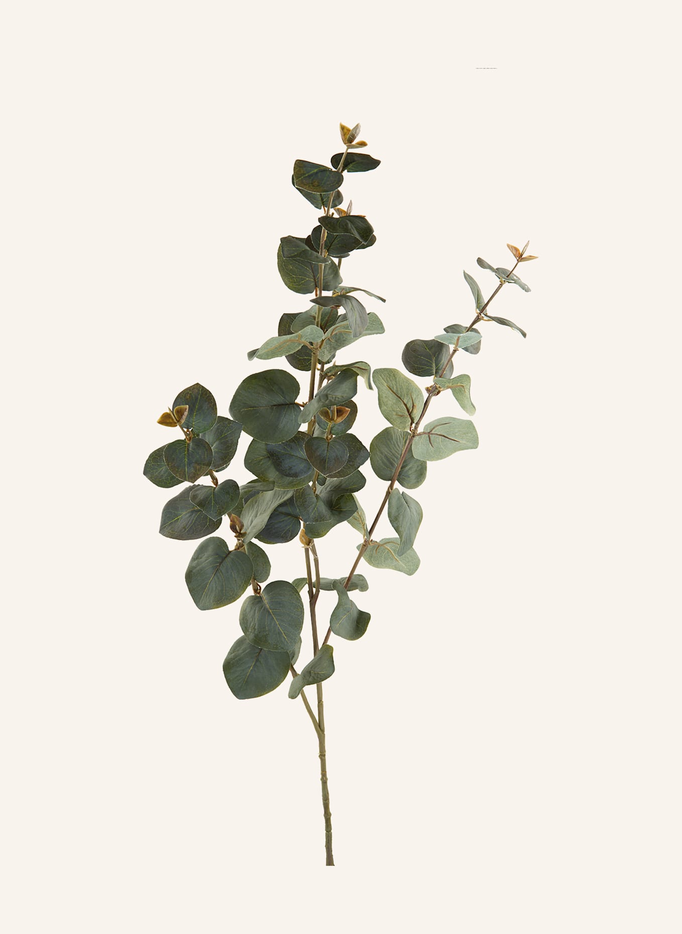 Fink Kunstblume EUKALYPTUSZWEIG: GRÜN