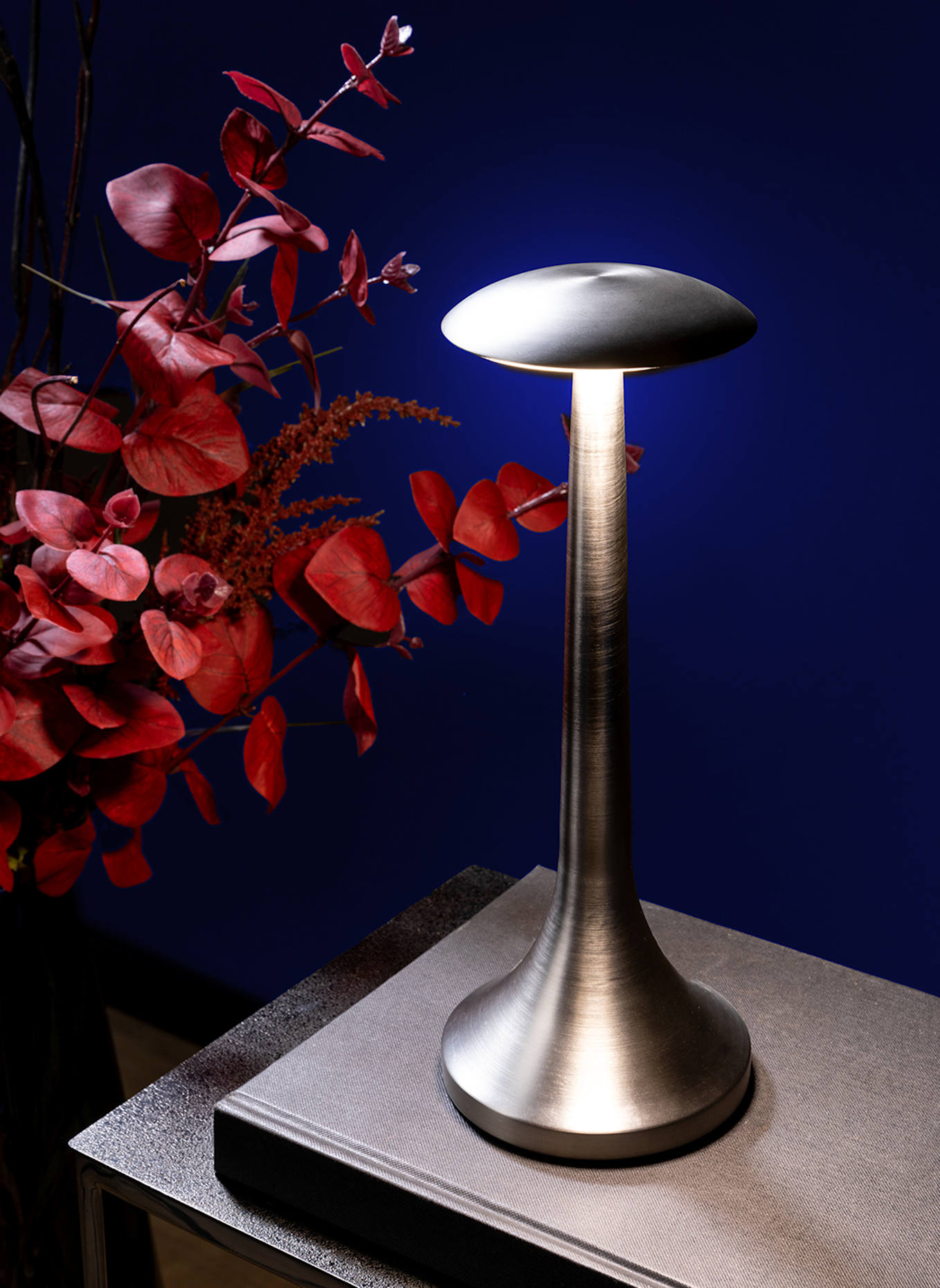 Fink LED Leuchte ILLUMA: SILBER