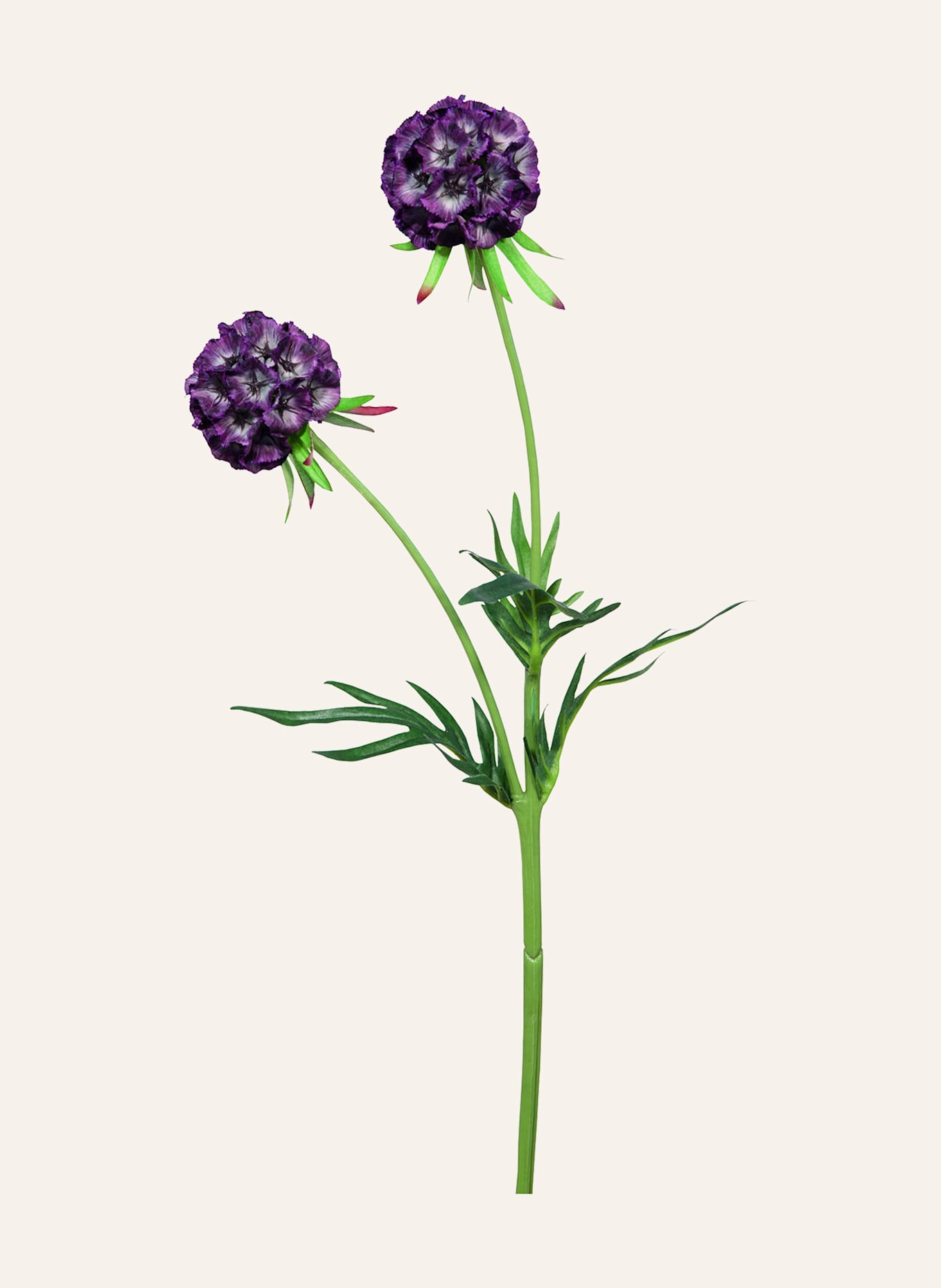 Fink Kunstblume SCABIOSA: LILA