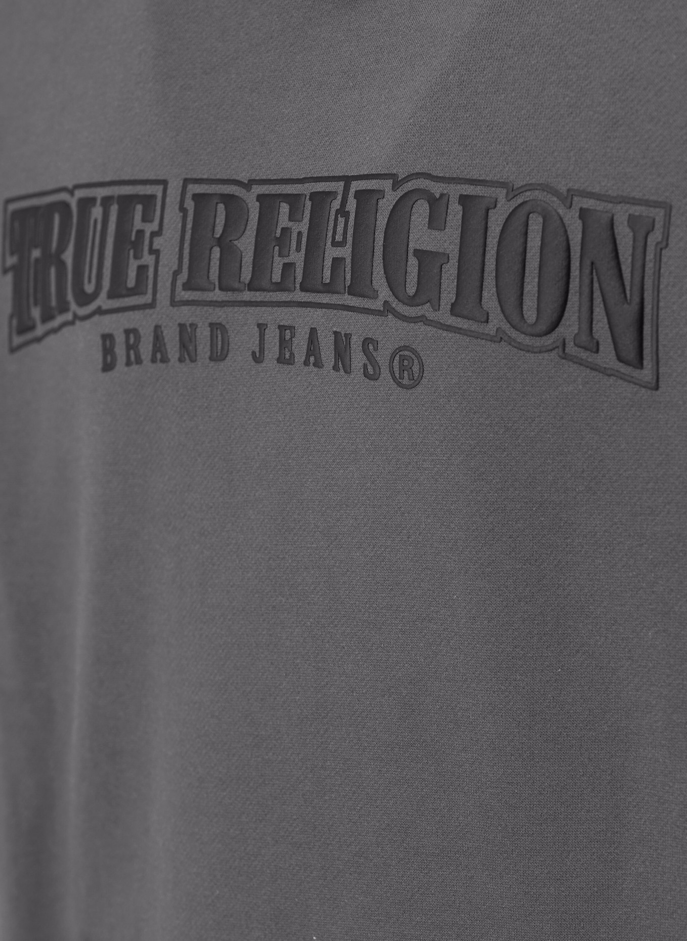 TRUE RELIGION Hoodie PAINTED, Farbe: GRAU (Bild 7)