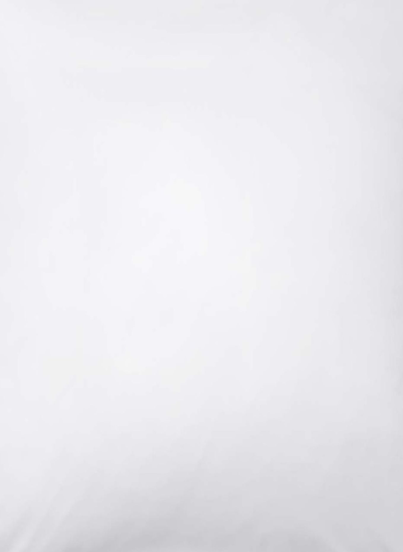 RID SELECTION Kissenbezug Mantua: WEISS