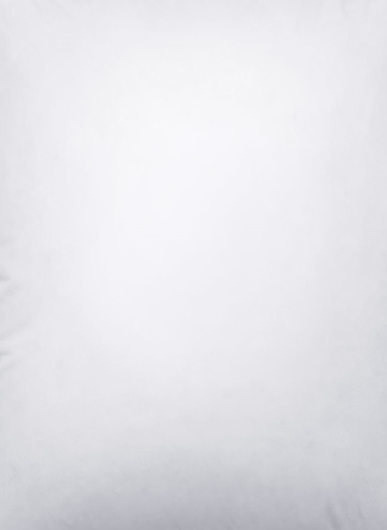 RID ESSENTIALS Kammerkissen WEIDEGANS ÖSTERREICH MEDIUM: WEISS