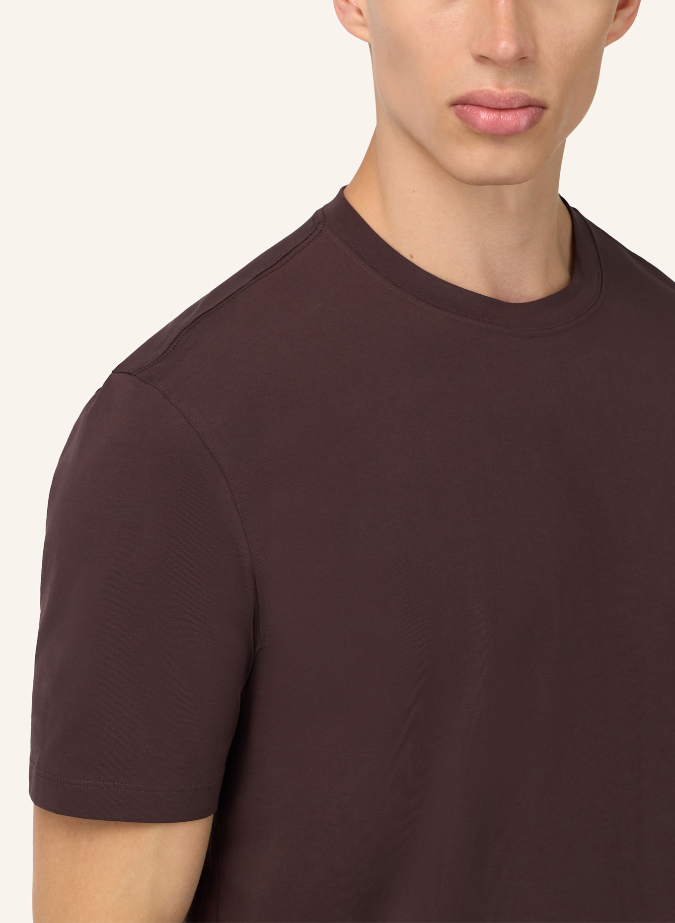 BOGGI MILANO T-Shirt: BRAUN