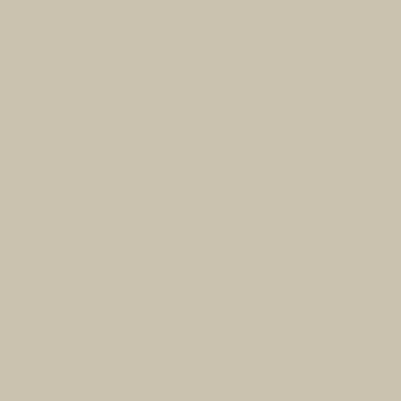 HACKETT LONDON Gürtel PARACHUTE BELT: BEIGE