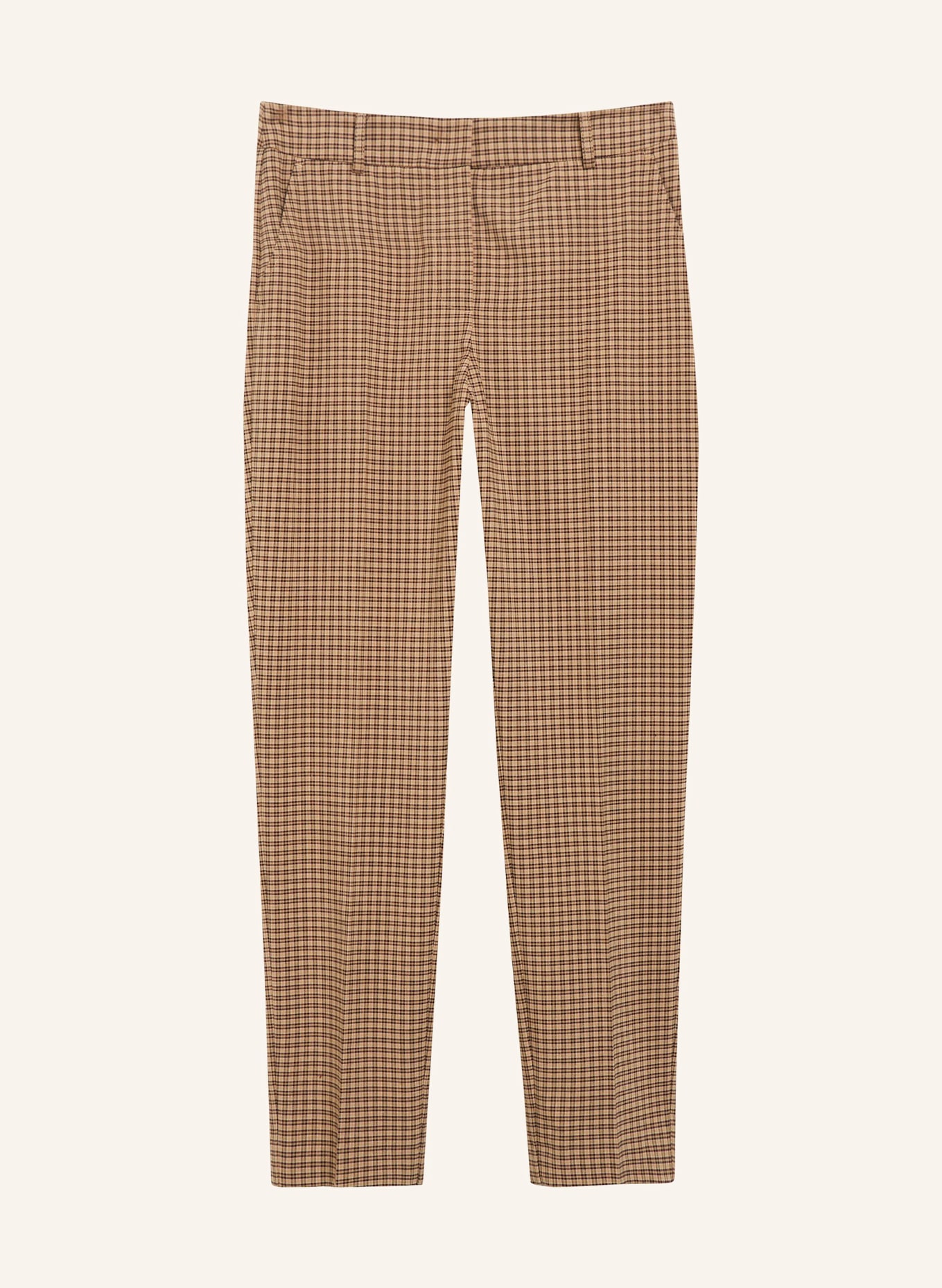 comma Hose: BRAUN