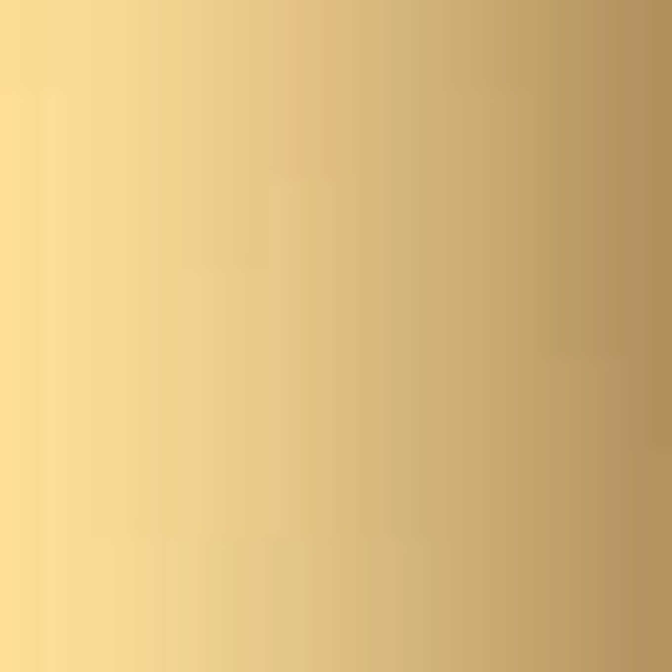 WEMPE Fine Jewelry Creolen BASICS: GOLD