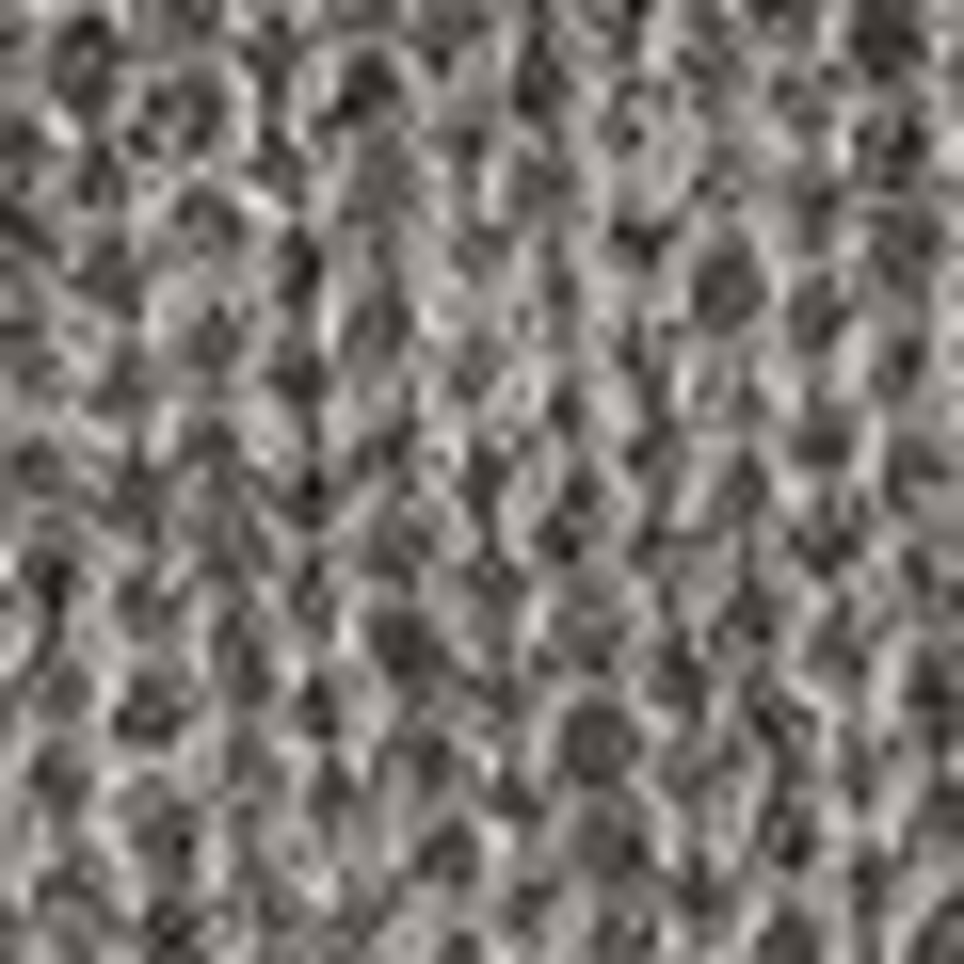 GERARD DAREL Schal DELPHINE: GRAU