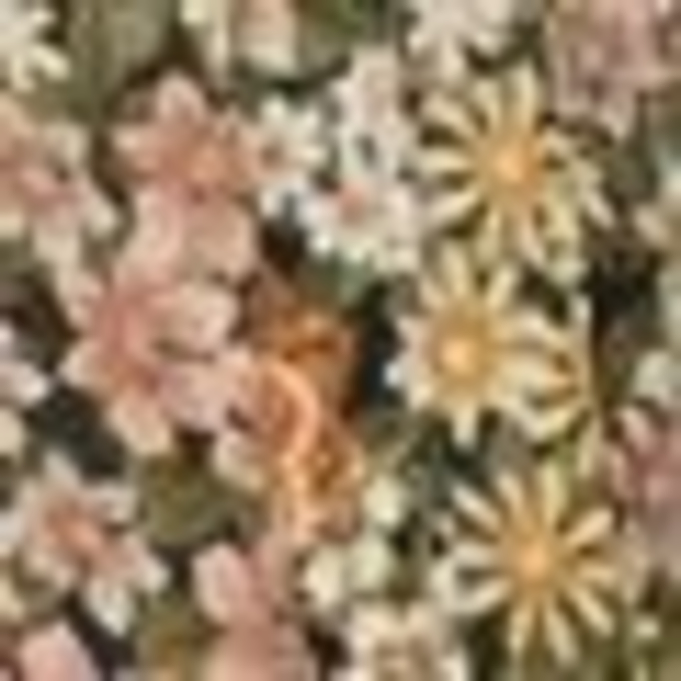 GERARD DAREL Bluse CARINNE: ROSA