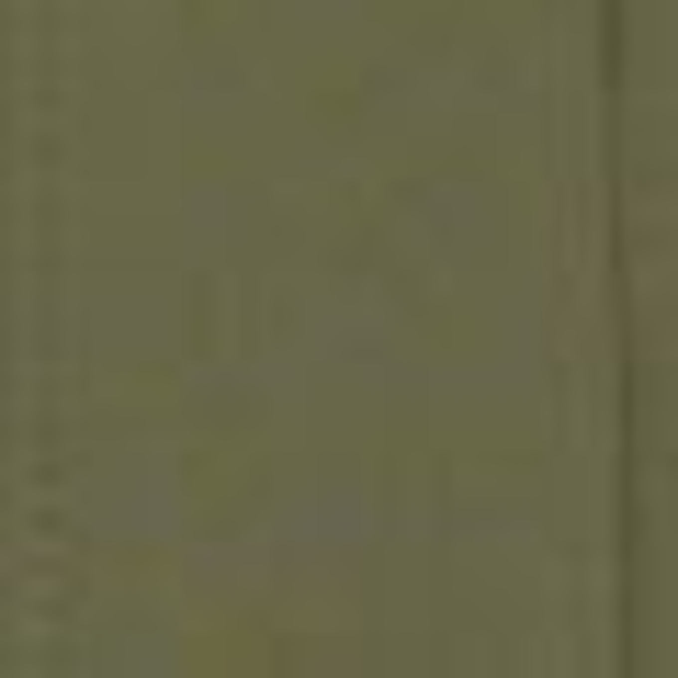 GERARD DAREL Bluse CIRAE: GRÜN