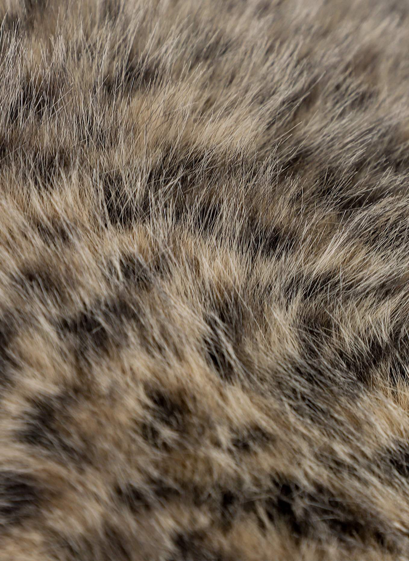 SPORTALM Zierkissenhülle LEO: BRAUN