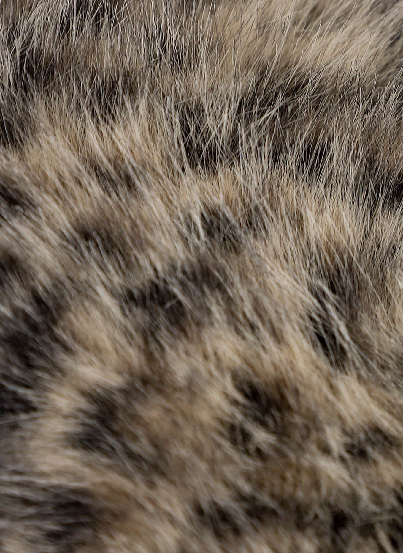 SPORTALM Wohndecke LEO: BRAUN