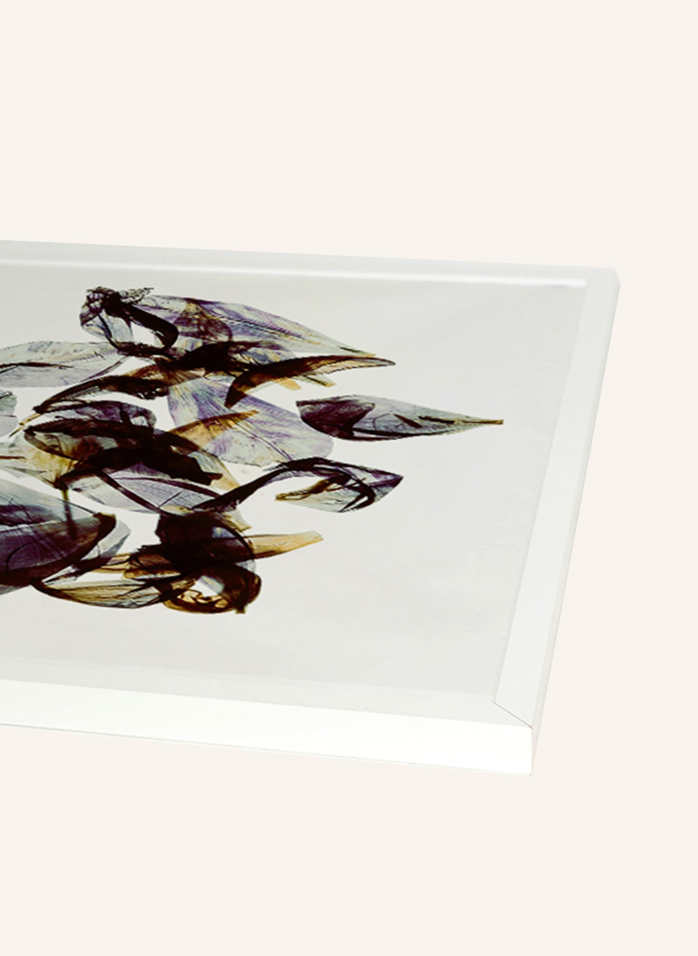 ANY IMAGE Wandbild RHODODENDRON mit Rahmen: WEISS