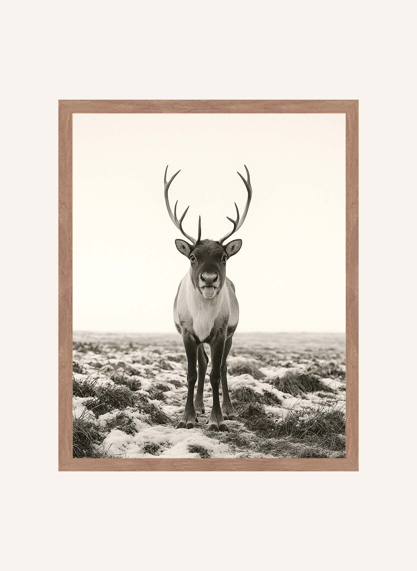 Liv Corday Wandbild FRECHES RENTIER mit Rahmen: BRAUN