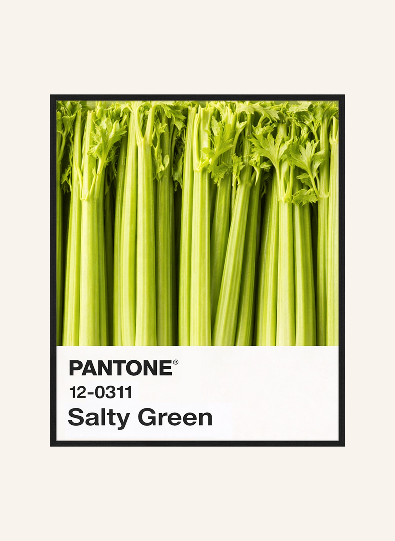 Liv Corday Wanddecoratie KLEUR: SALTY GREEN / SELDERIJGROEN met lijst: ZWART