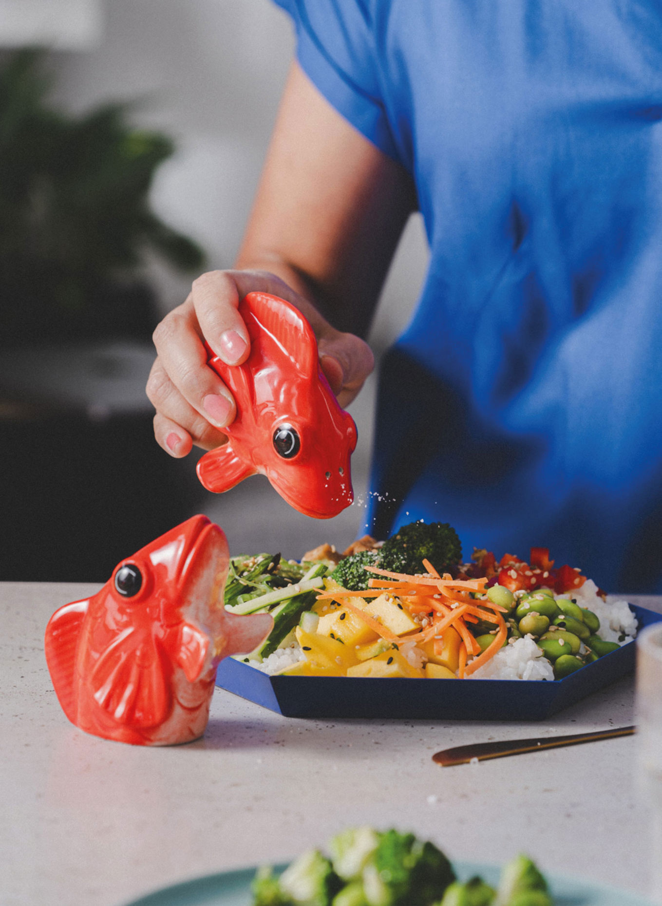 DONKEY Salz- und Pfefferstreuer FISHES FOR DISHES: ROT