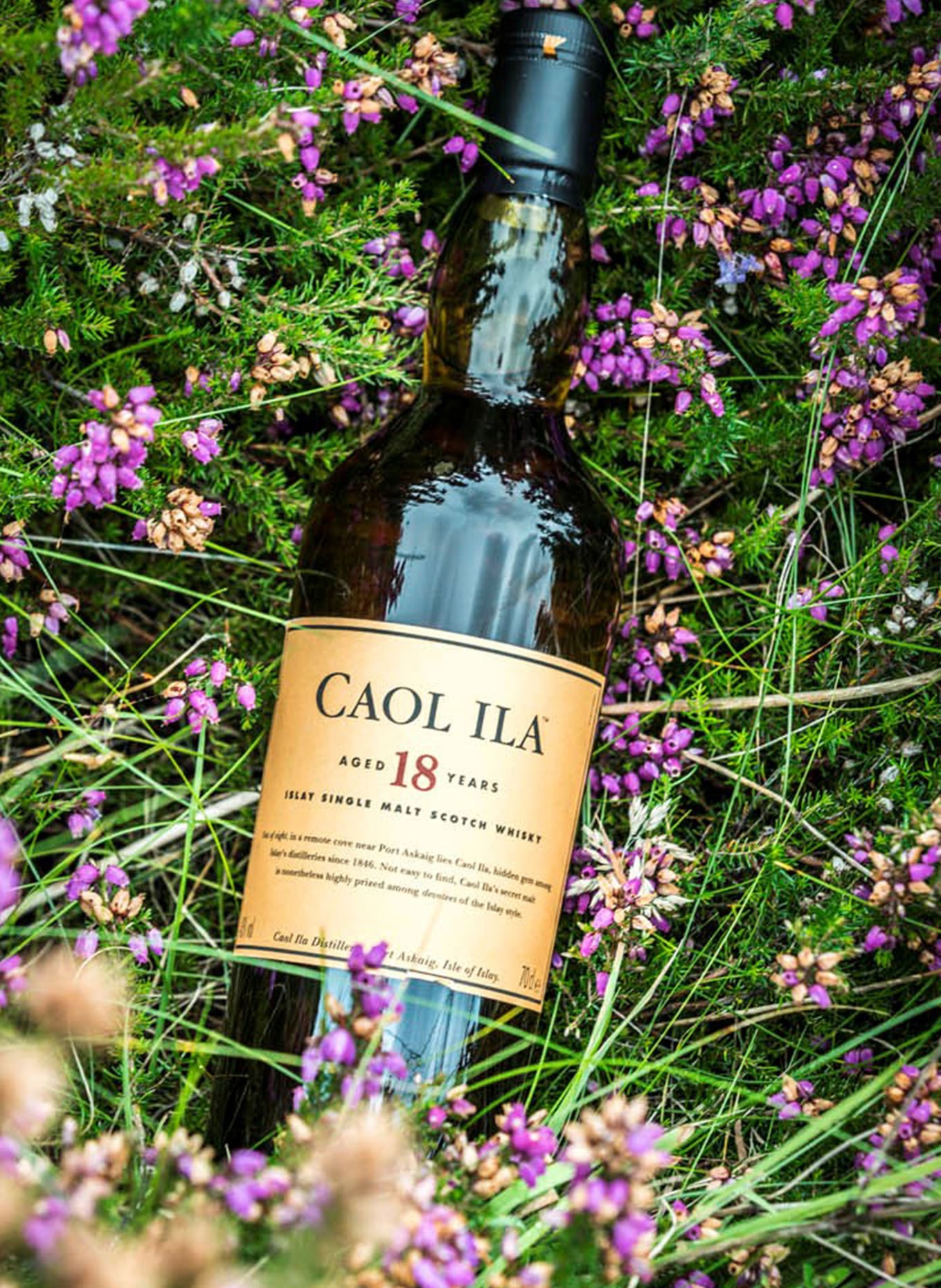 CAOL ILA Single Malt Whisky 18 YEARS ISLAY, Farbe: GOLD (Bild 4)