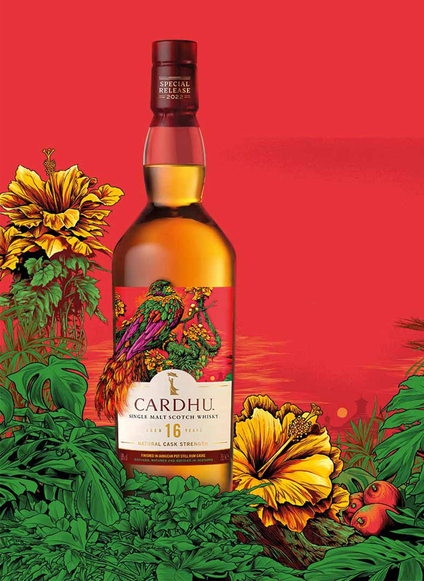 CARDHU Single Malt Whisky 16 YEARS SPECIAL RELEASE, Farbe: GOLD (Bild 4)
