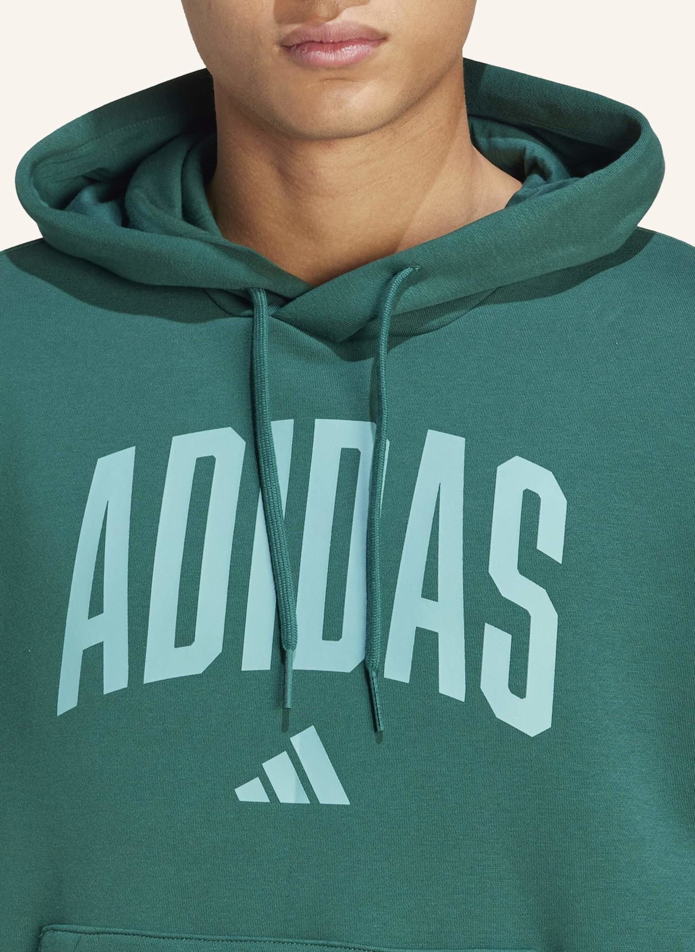 adidas COLLEGIATE HOODIE: GRÜN/ TÜRKIS