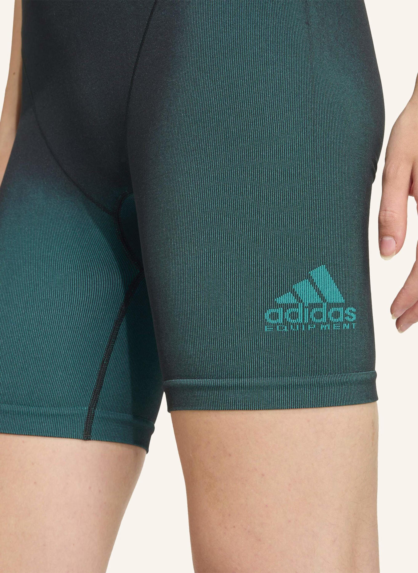 adidas Originals EQT SHORTS: SCHWARZ/ GRÜN