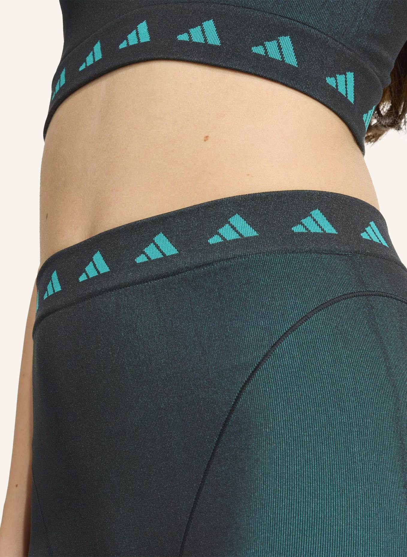 adidas Originals EQT SHORTS: SCHWARZ/ GRÜN