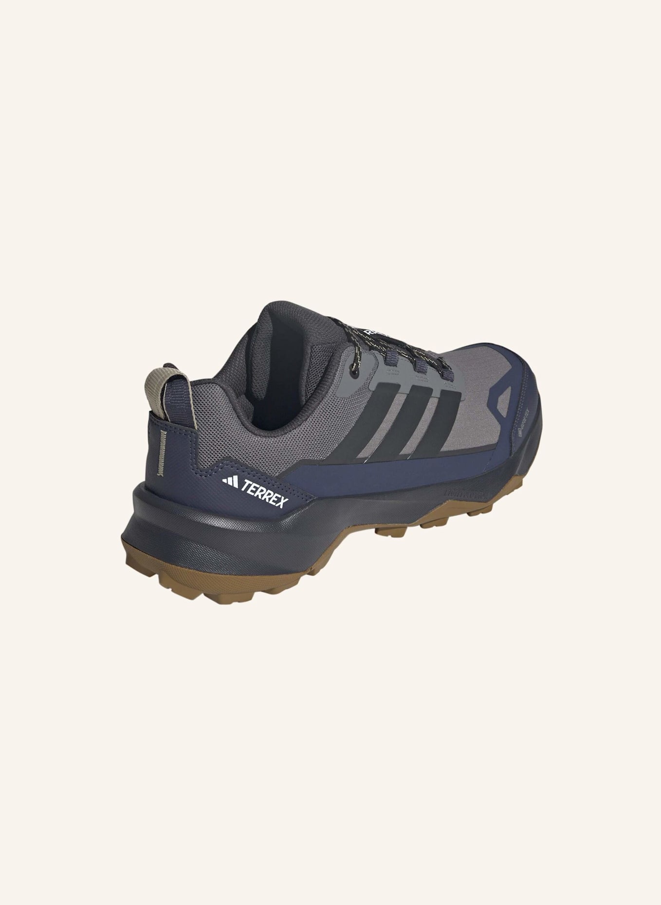 adidas TERREX Wanderschuhe TERREX SKYCHASER AX5 GTX: GRAU