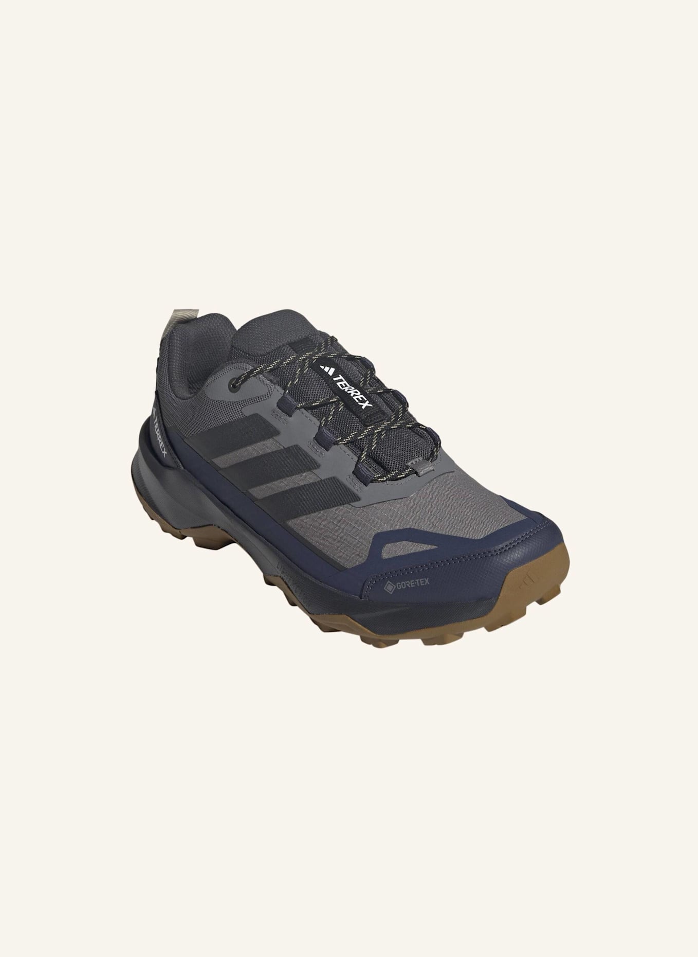 adidas TERREX Wanderschuhe TERREX SKYCHASER AX5 GTX: GRAU