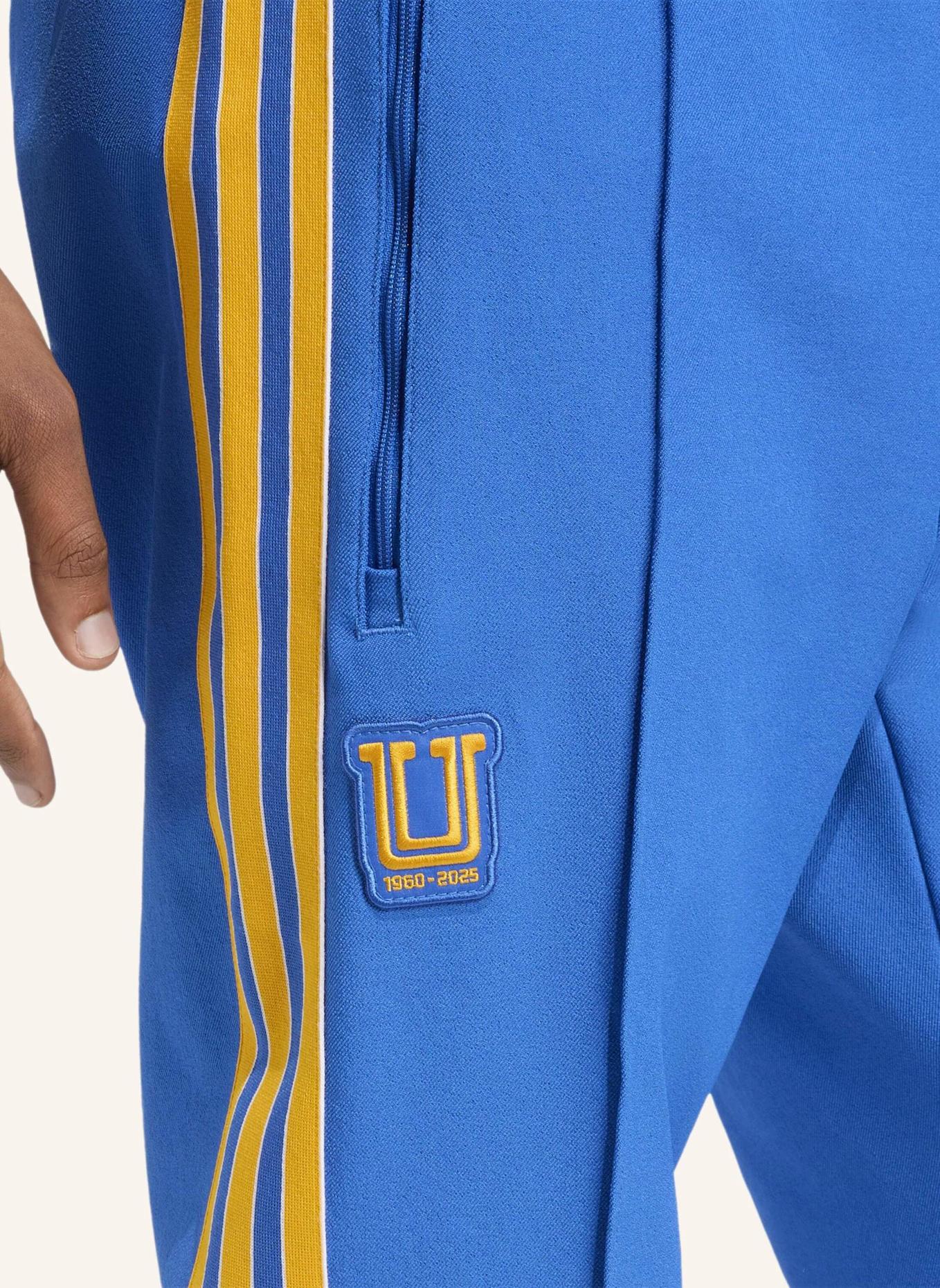 adidas Originals TIGRES UANL TERRACE ICONS TRAININGSHOSE: BLAU