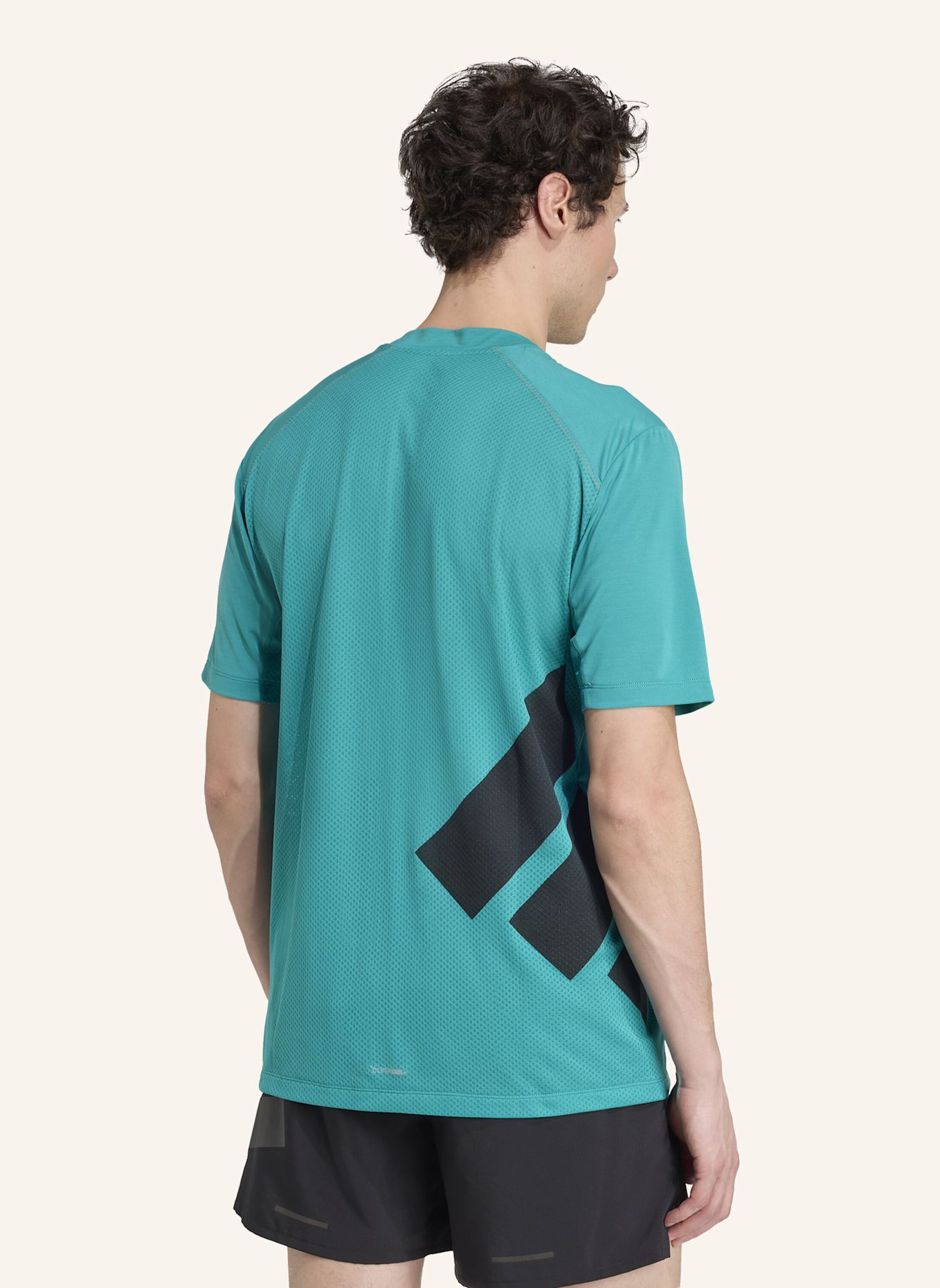 adidas TERREX T-Shirt XPERIOR: TÜRKIS