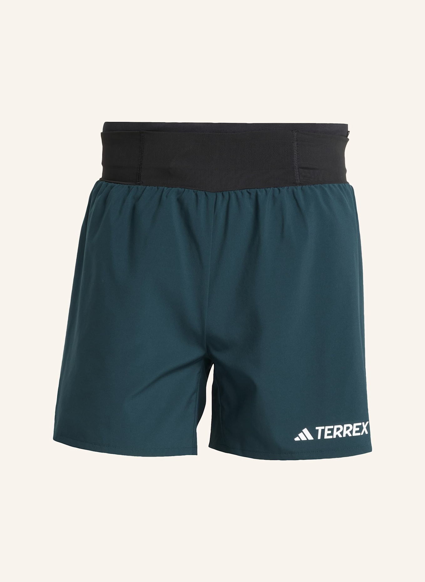 adidas TERREX Trekking-Shorts XPERIOR: GRÜN