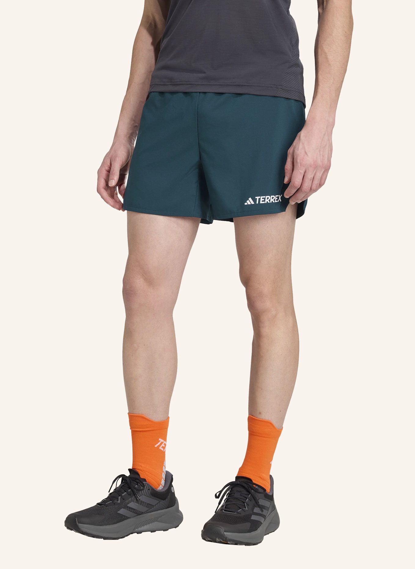 adidas TERREX Trekking-Shorts XPERIOR: GRÜN