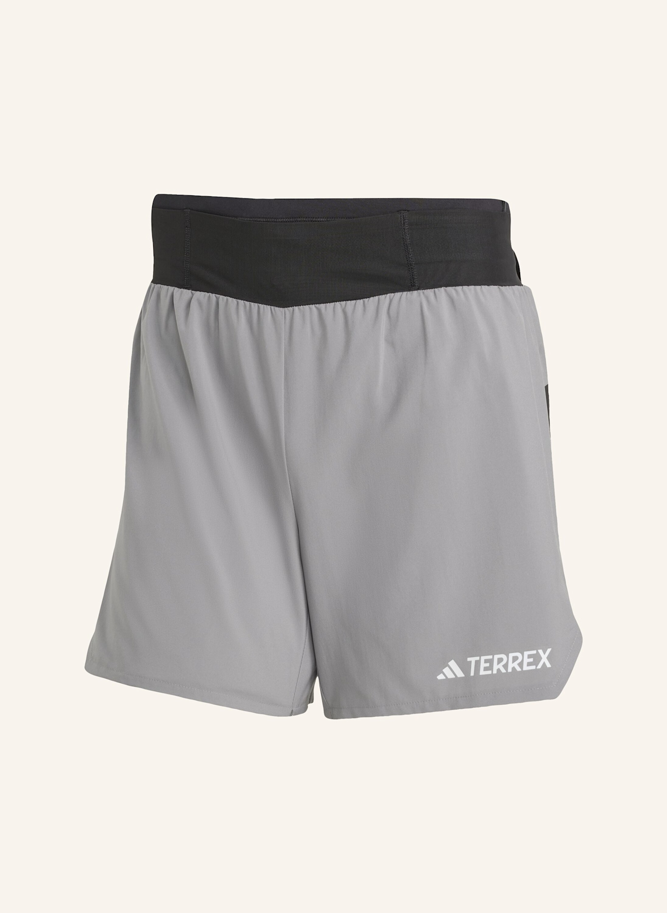 adidas TERREX Trekking-Shorts XPERIOR: GRAU