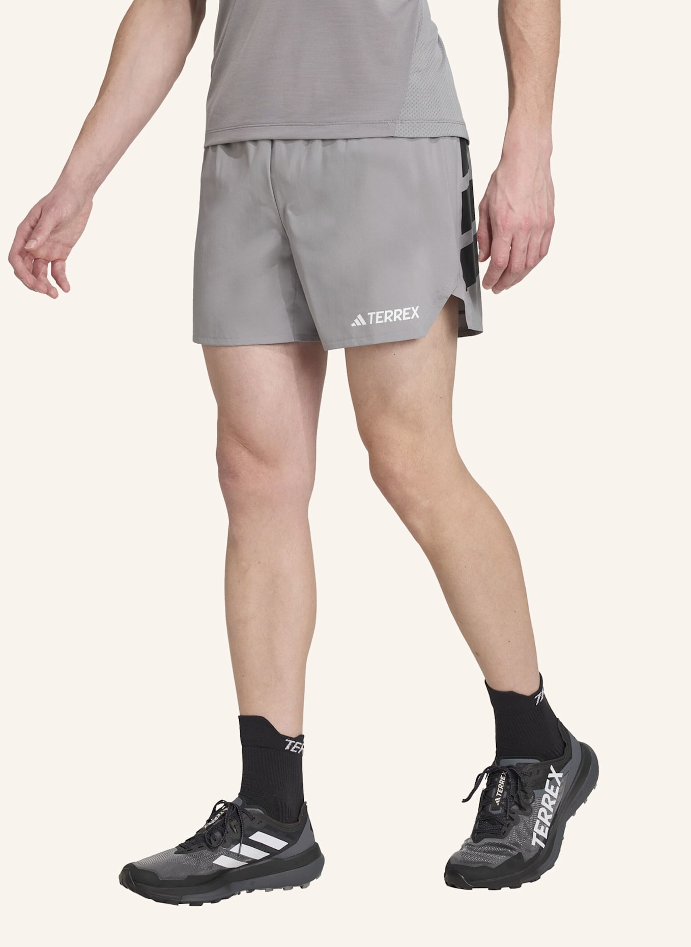 adidas TERREX Trekking-Shorts XPERIOR: GRAU