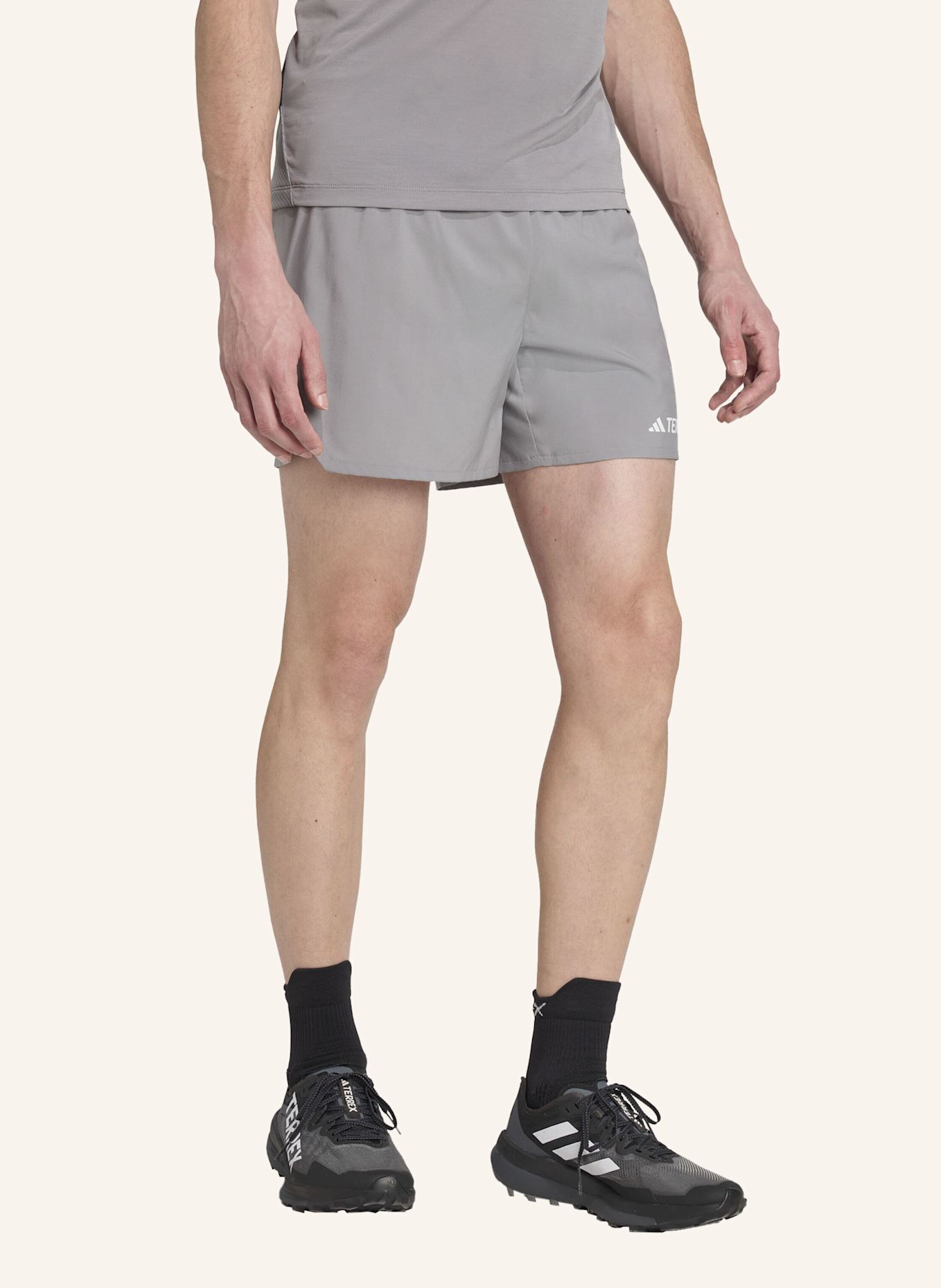 adidas TERREX Trekking-Shorts XPERIOR: GRAU