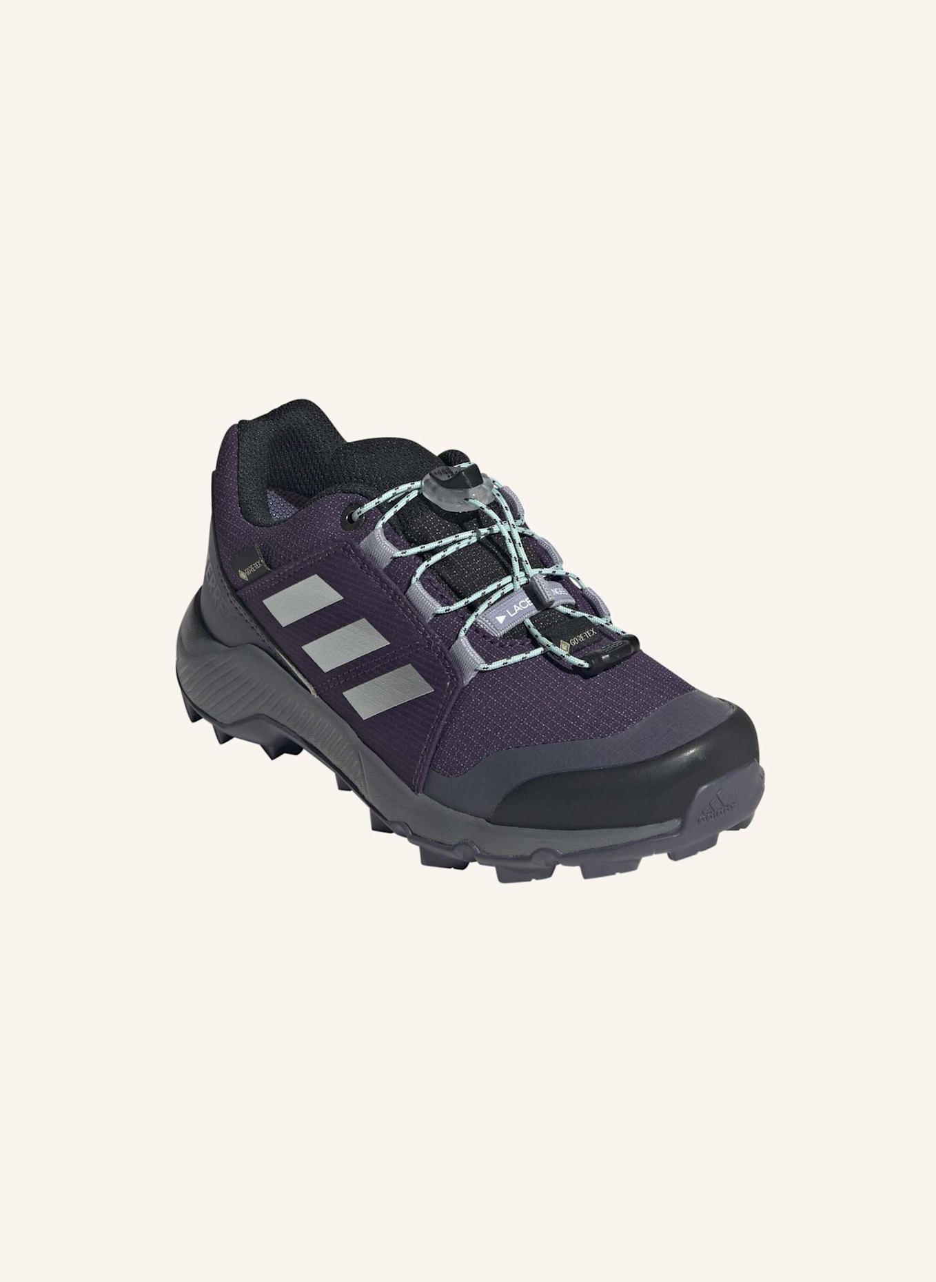 adidas TERREX Wanderschuhe TERREX GTX: LILA/ SILBER/ GRÜN