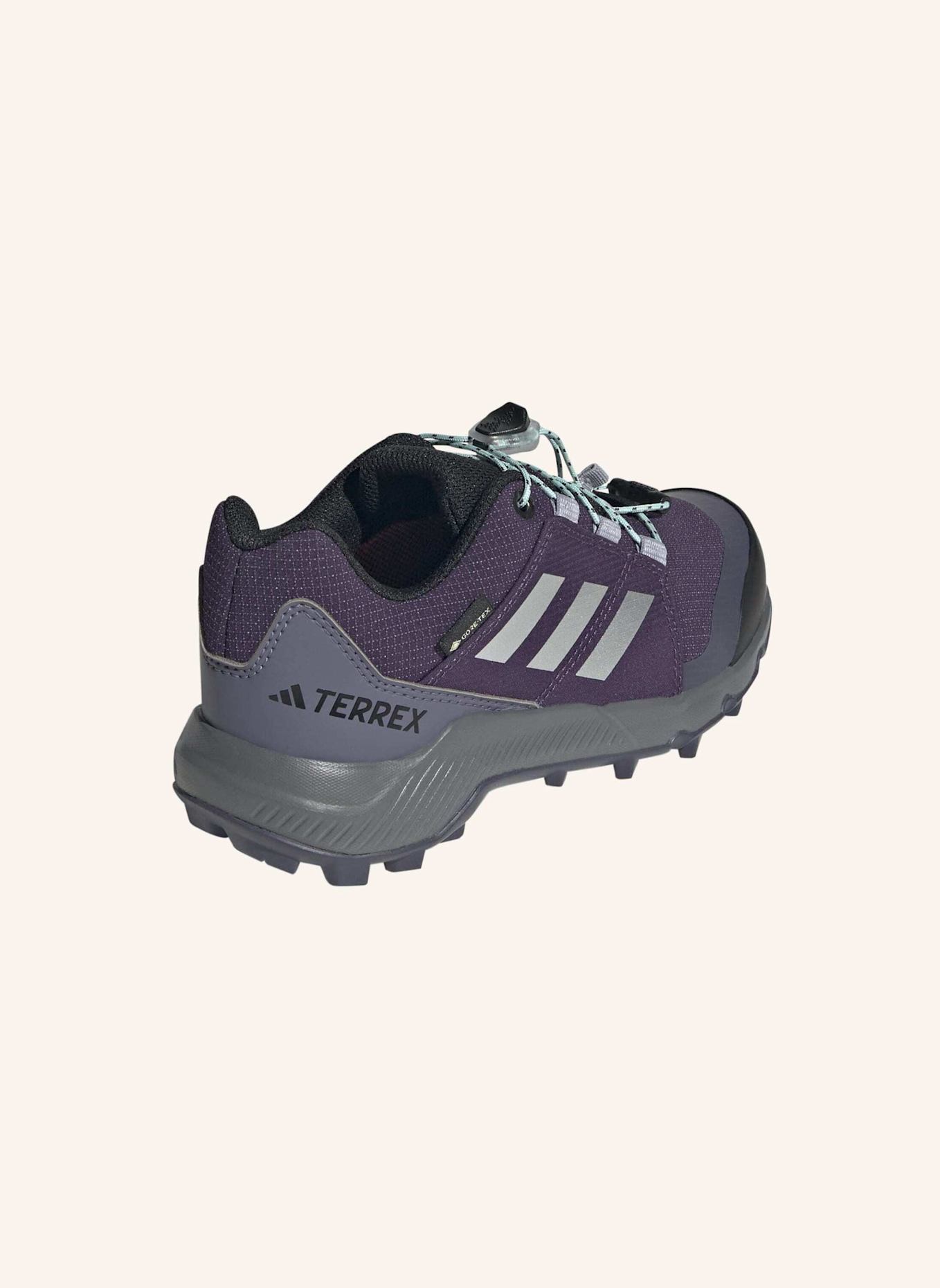 adidas TERREX Wanderschuhe TERREX GTX: LILA/ SILBER/ GRÜN