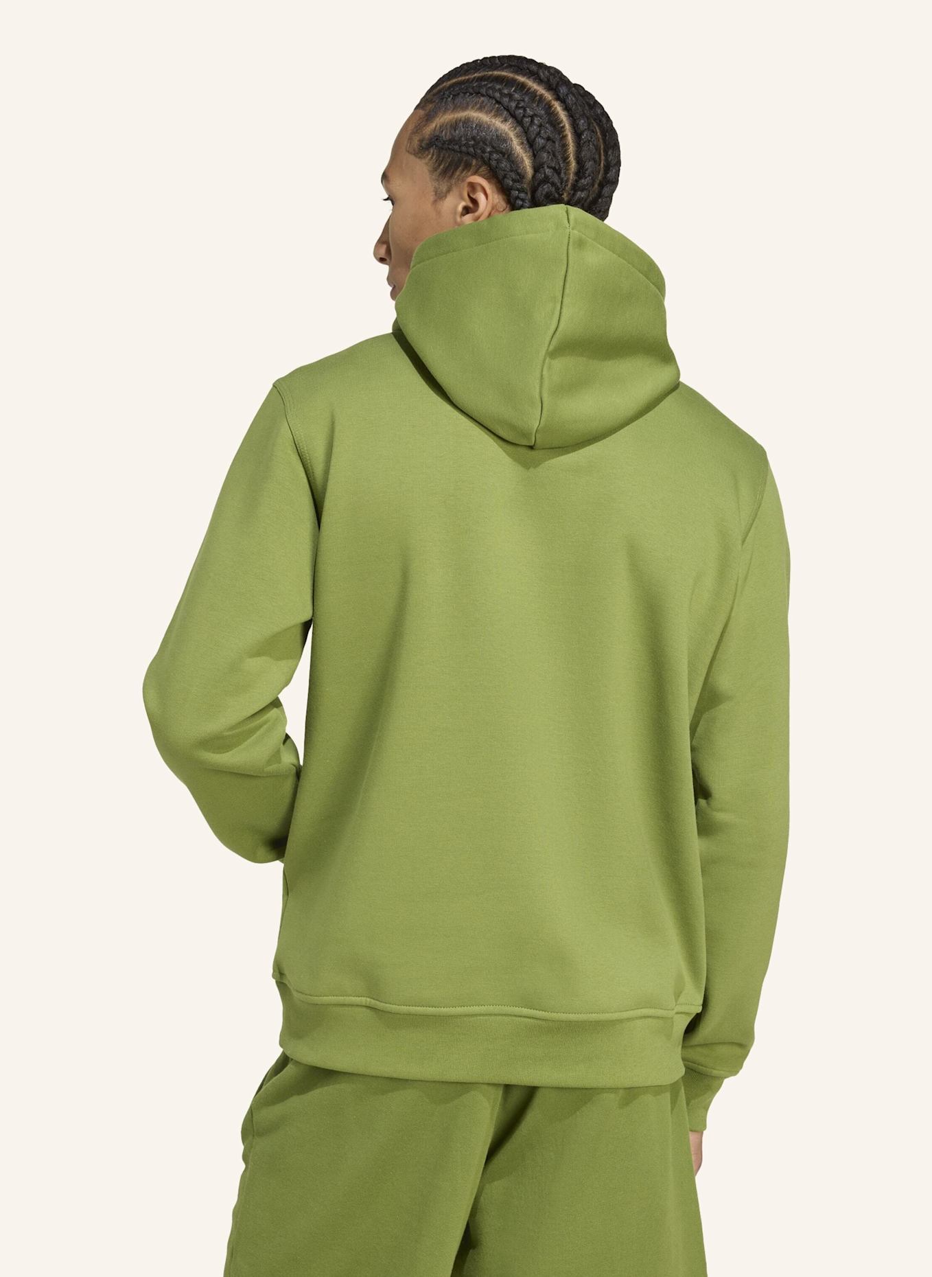 adidas Originals TREFOIL ESSENTIALS HOODIE: GRÜN