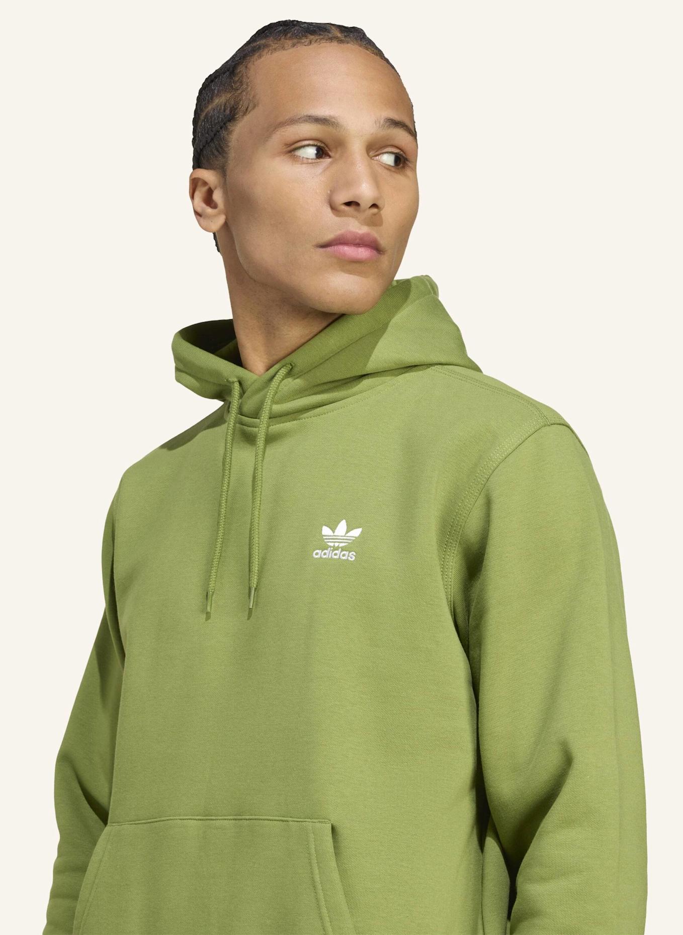 adidas Originals TREFOIL ESSENTIALS HOODIE: GRÜN