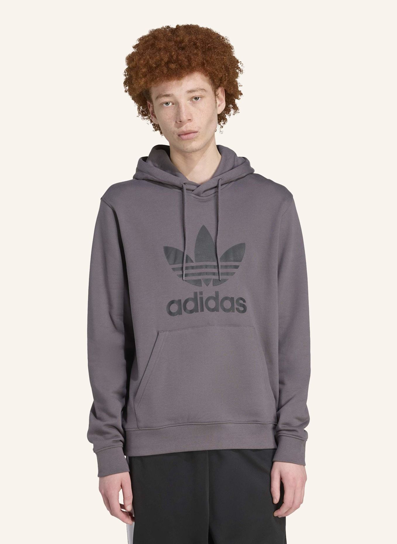 adidas Originals ADICOLOR CLASSICS TREFOIL HOODIE: GRAU