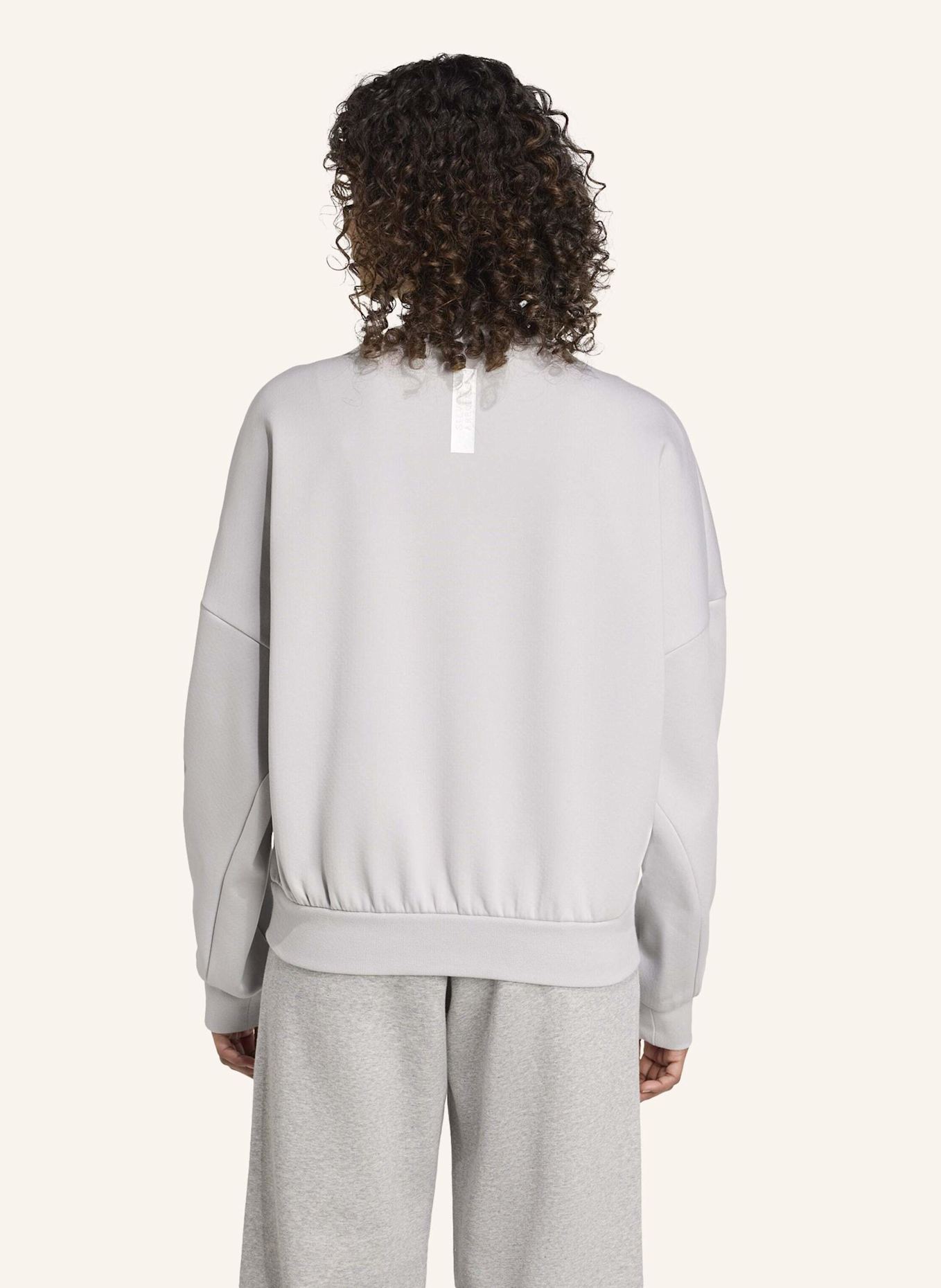 adidas MERCEDES AMG PETRONAS F1 TEAM SILBERPFEILE SWEATSHIRT: GRAU