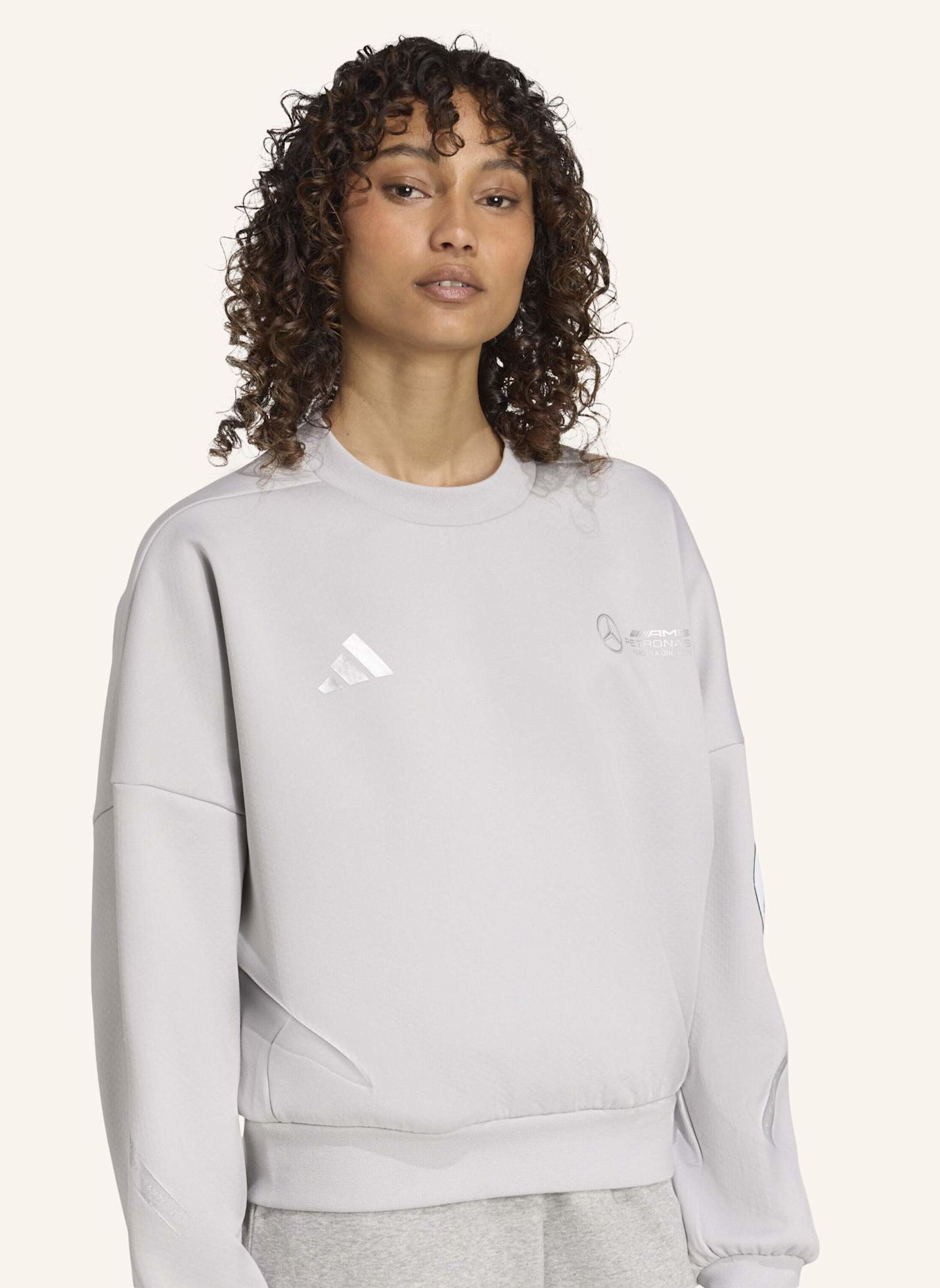 adidas MERCEDES AMG PETRONAS F1 TEAM SILBERPFEILE SWEATSHIRT: GRAU